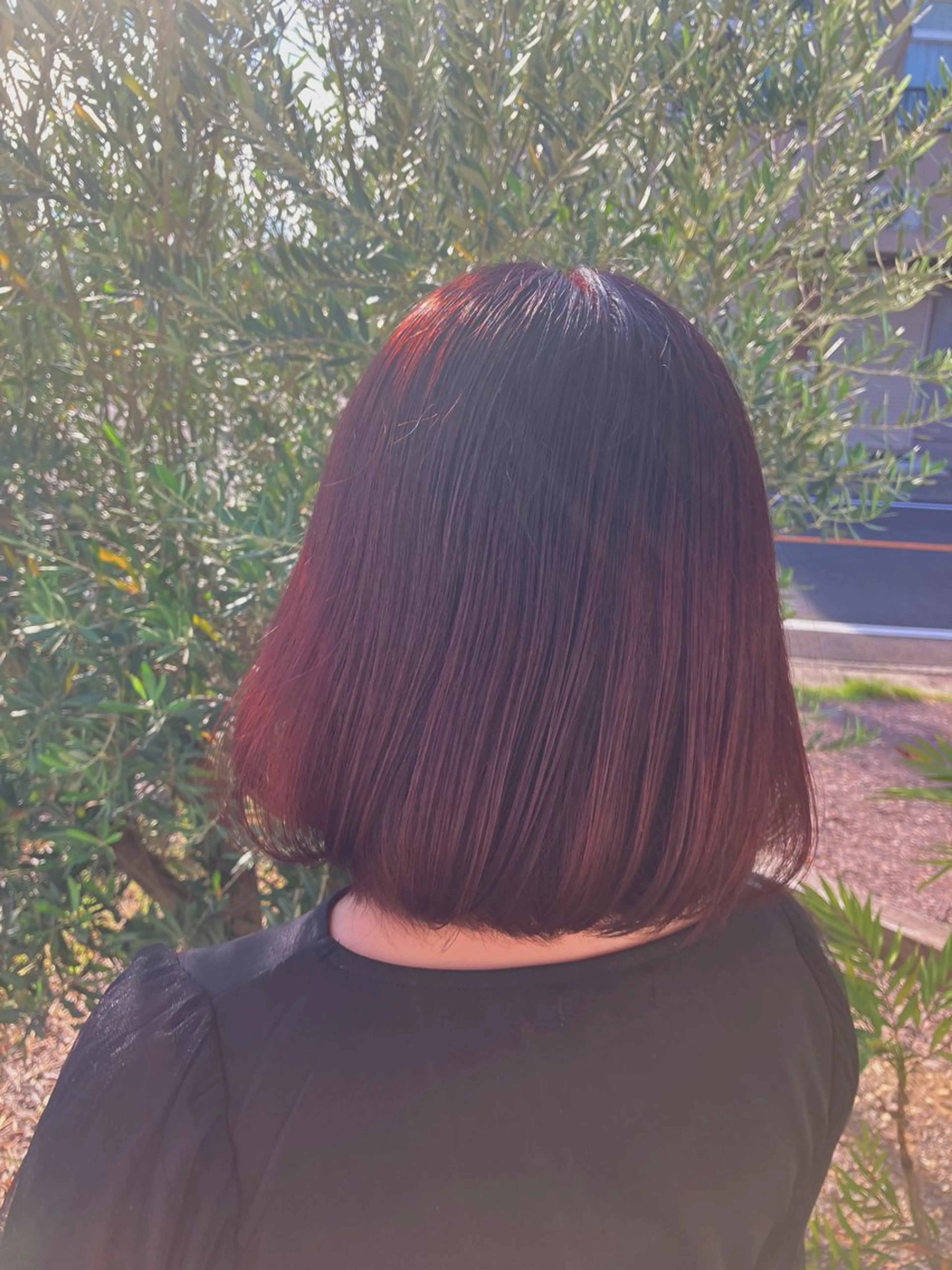 カラー カシス 【ツヤ髪特化】 スズキアキエのヘアスタイル