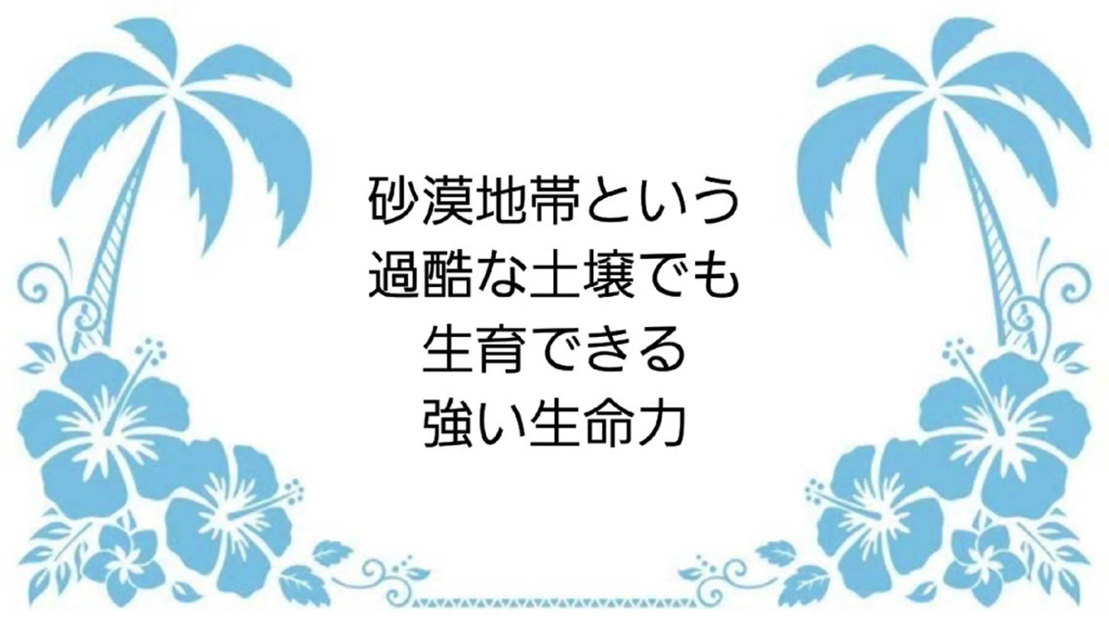 MAHINA 🌺KAYO🌺のエステ・リラクイメージ