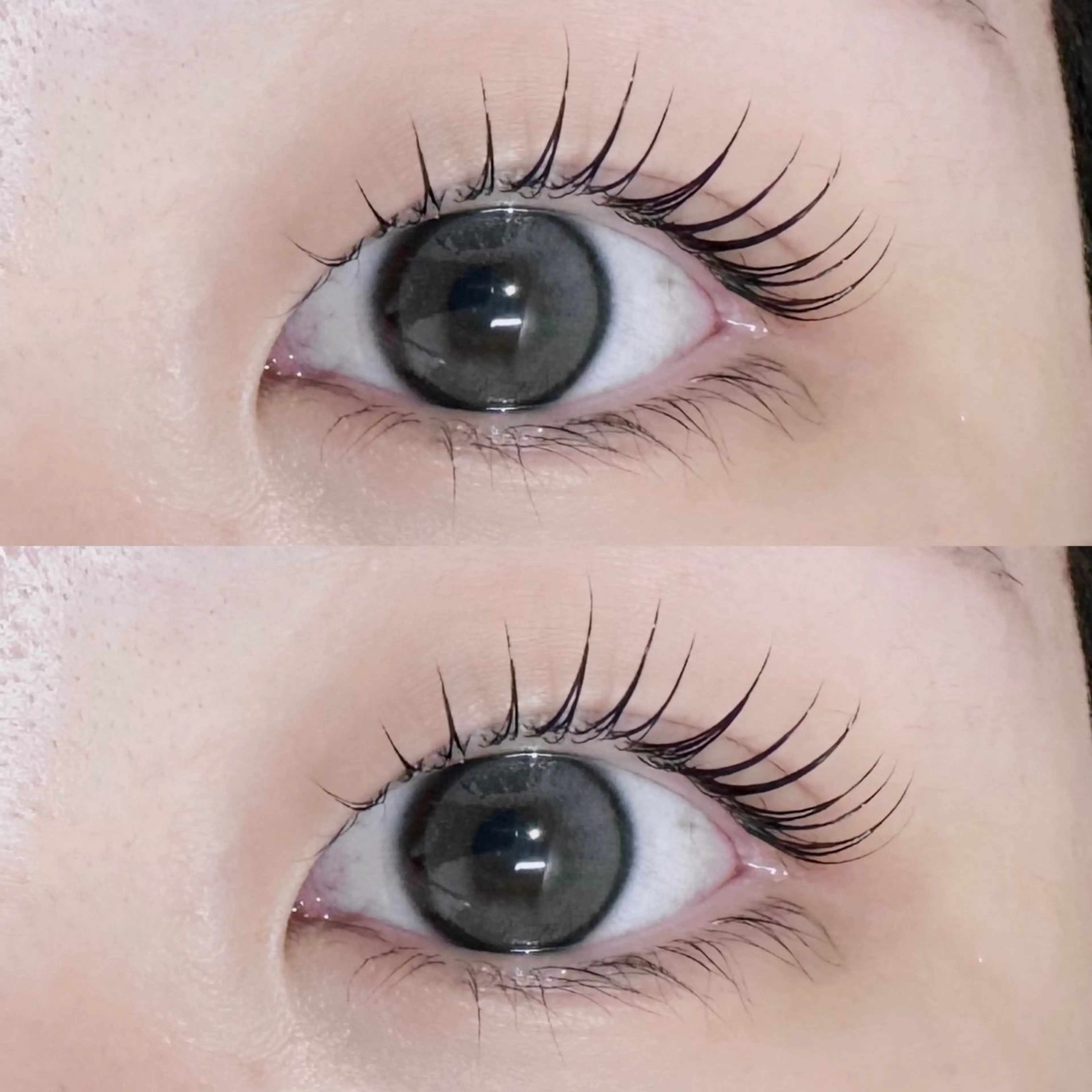 ⭐️ご新規様⭐️ラッシュリフト【パリジェンヌ風/韓国パーマ/束間】(トリートメント付)の写真