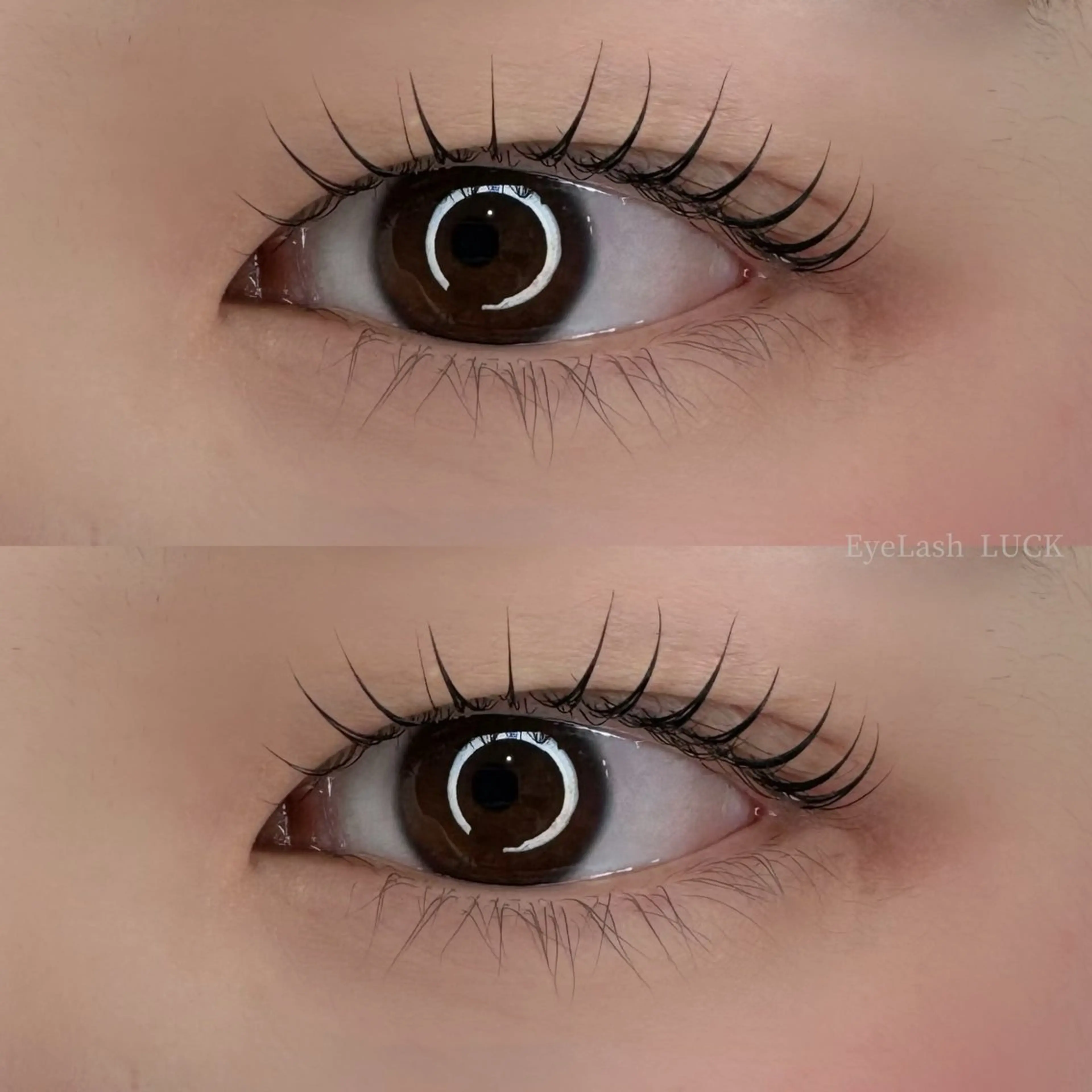 マツエク・マツパ マツパ Eyelash LUCK本厚木のマツエク・マツパデザイン