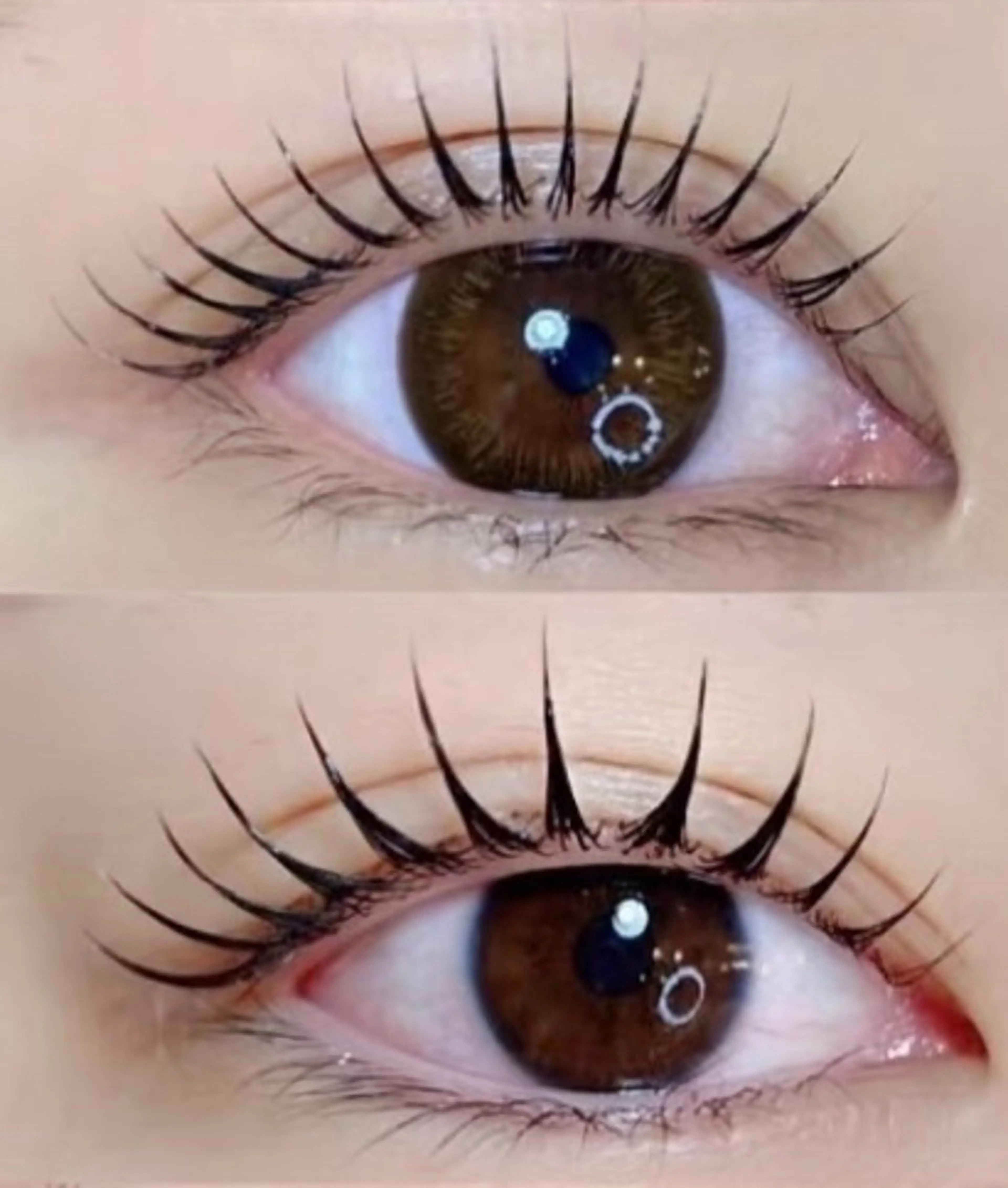 💫韓ドル風　パリジェンヌ Lash Liftの写真