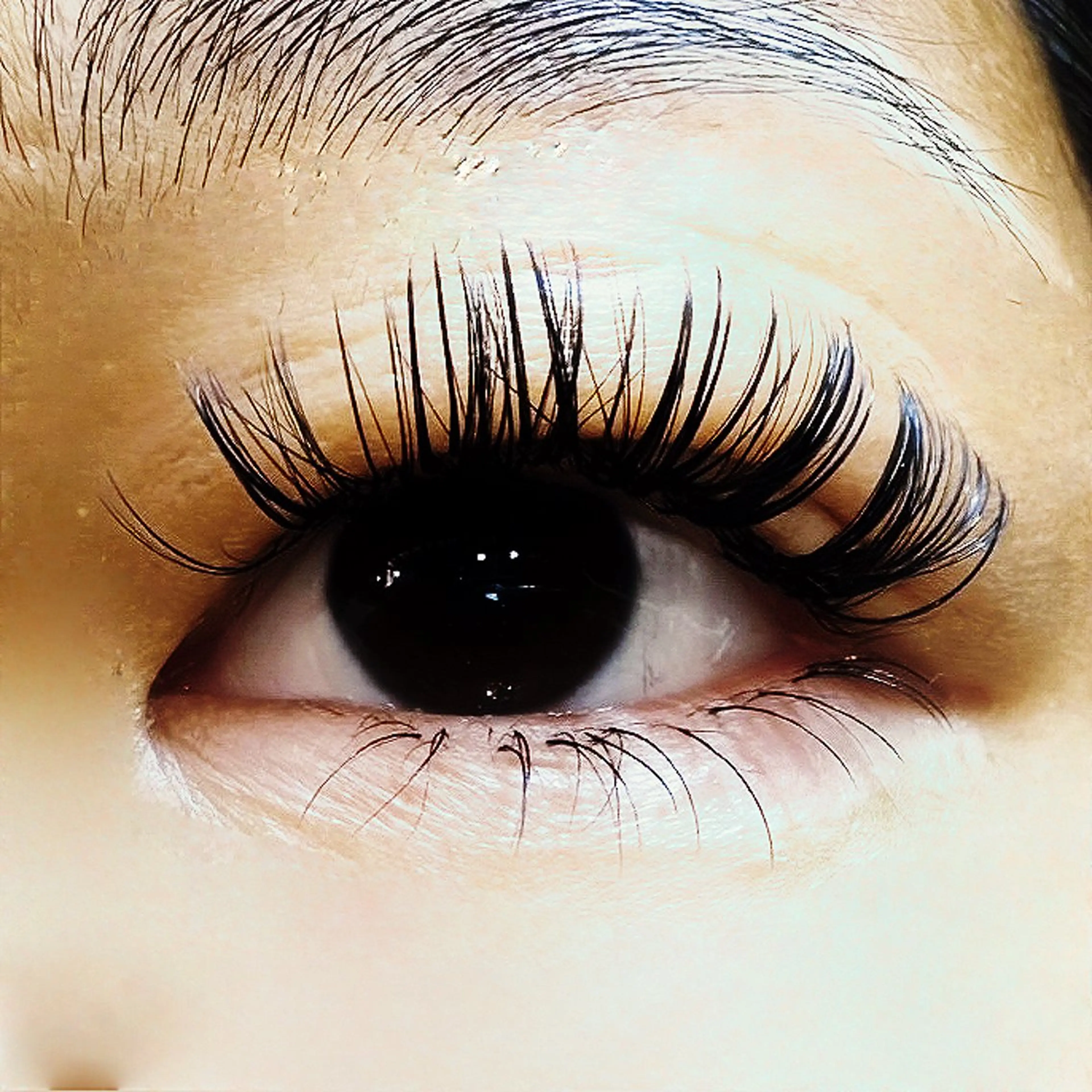 マツエク・マツパ 下まつげエクステ 宇治 名帆子のマツエク・マツパデザイン