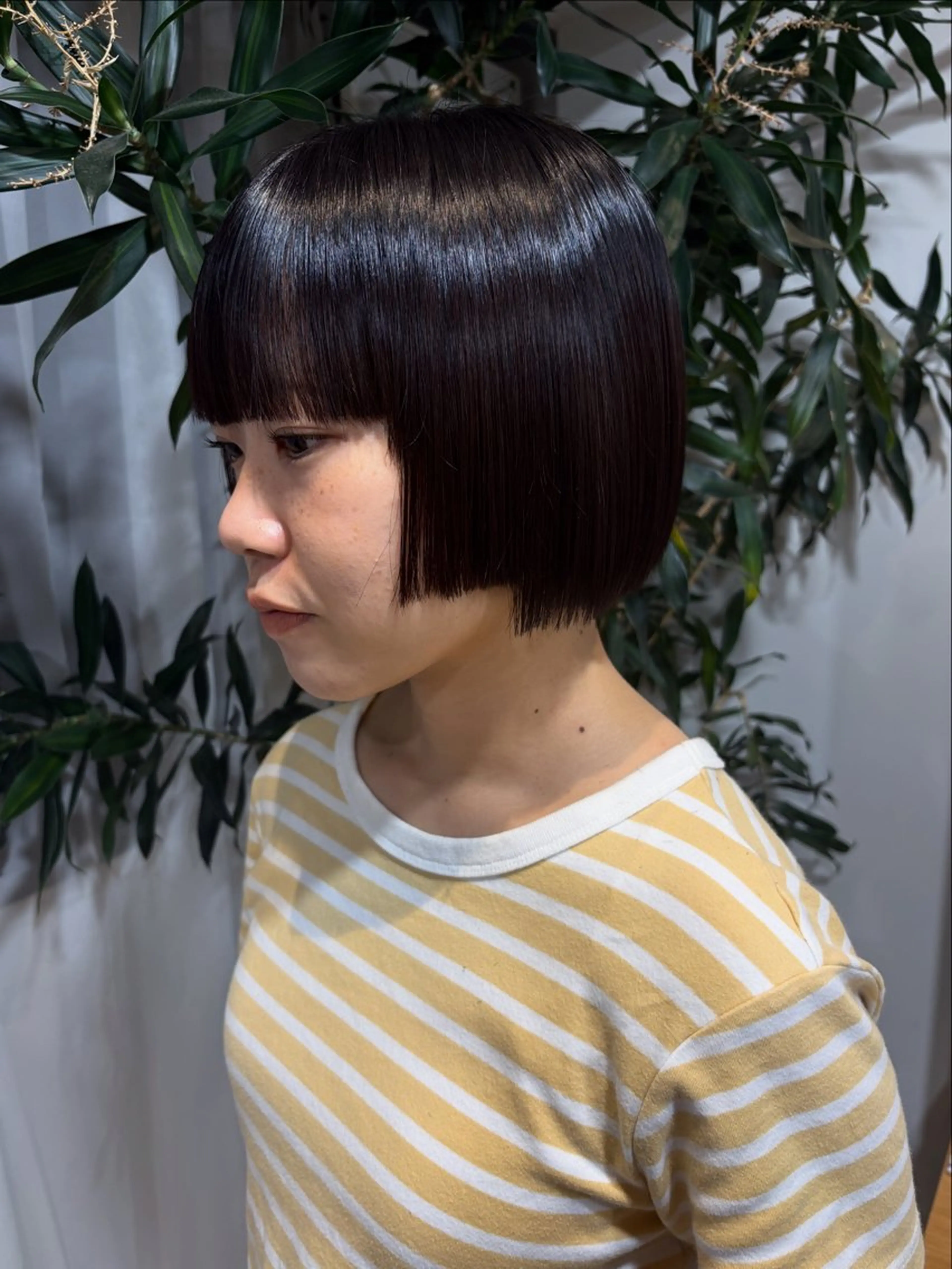 ミディアム カット 西片 麻那のマツエク・マツパデザイン