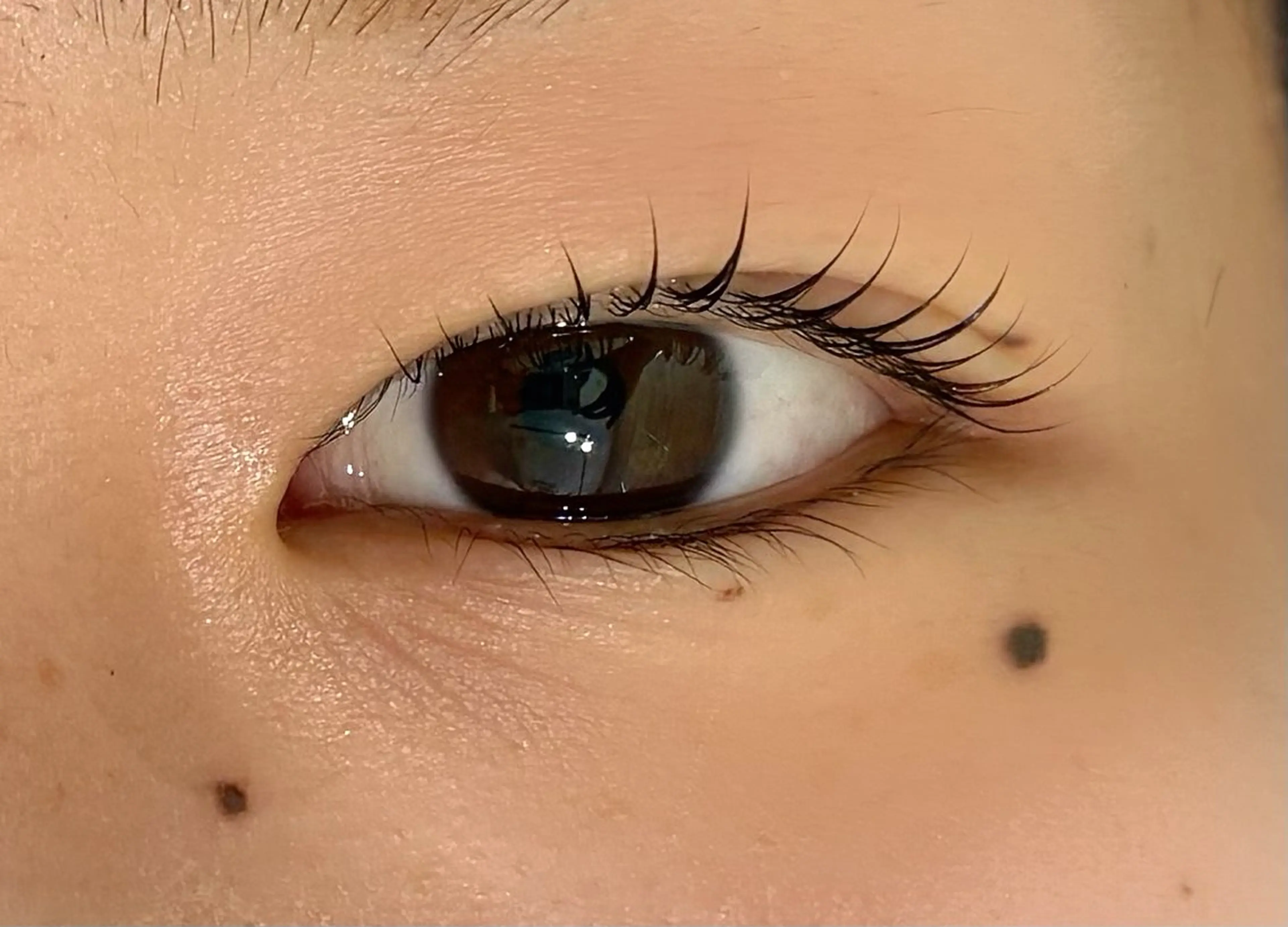 セラムラッシュリフト(上のみ)+自宅用まつ毛ケアスティックの写真