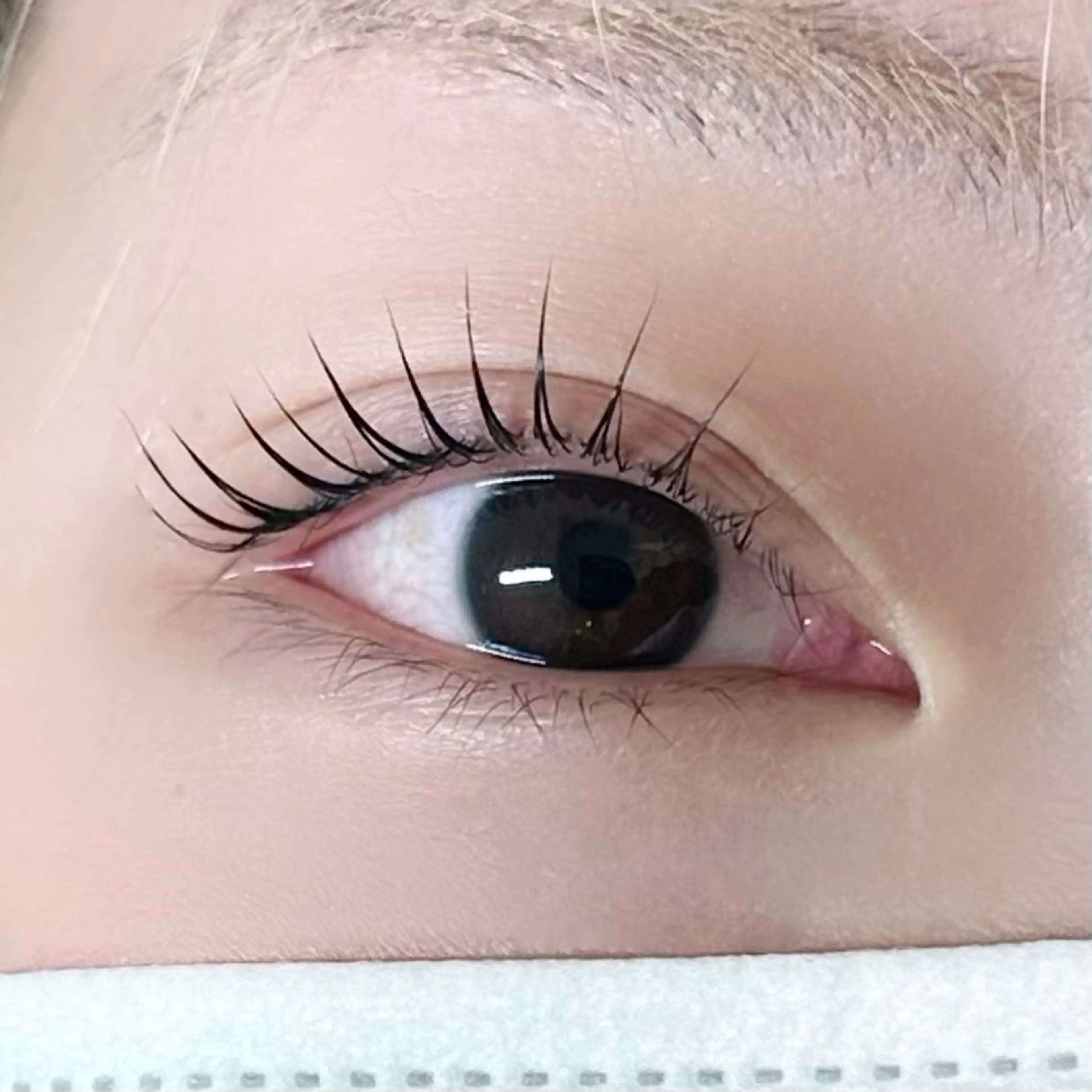 マツエク・マツパ LORAN eye&nail所属・LORAN kanoのマツエク・マツパデザイン