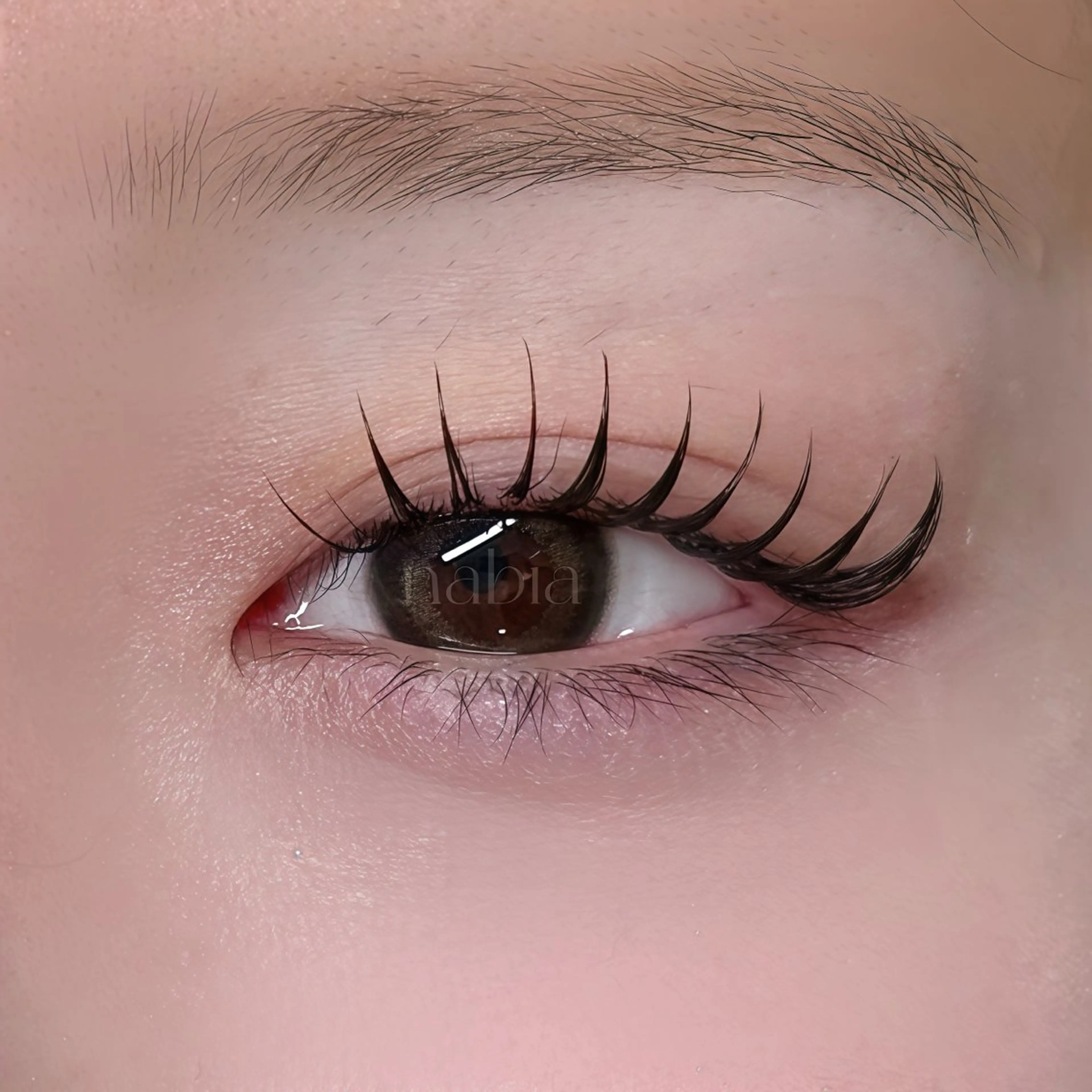 マツエク・マツパ nabía 上石神井のマツエク・マツパデザイン