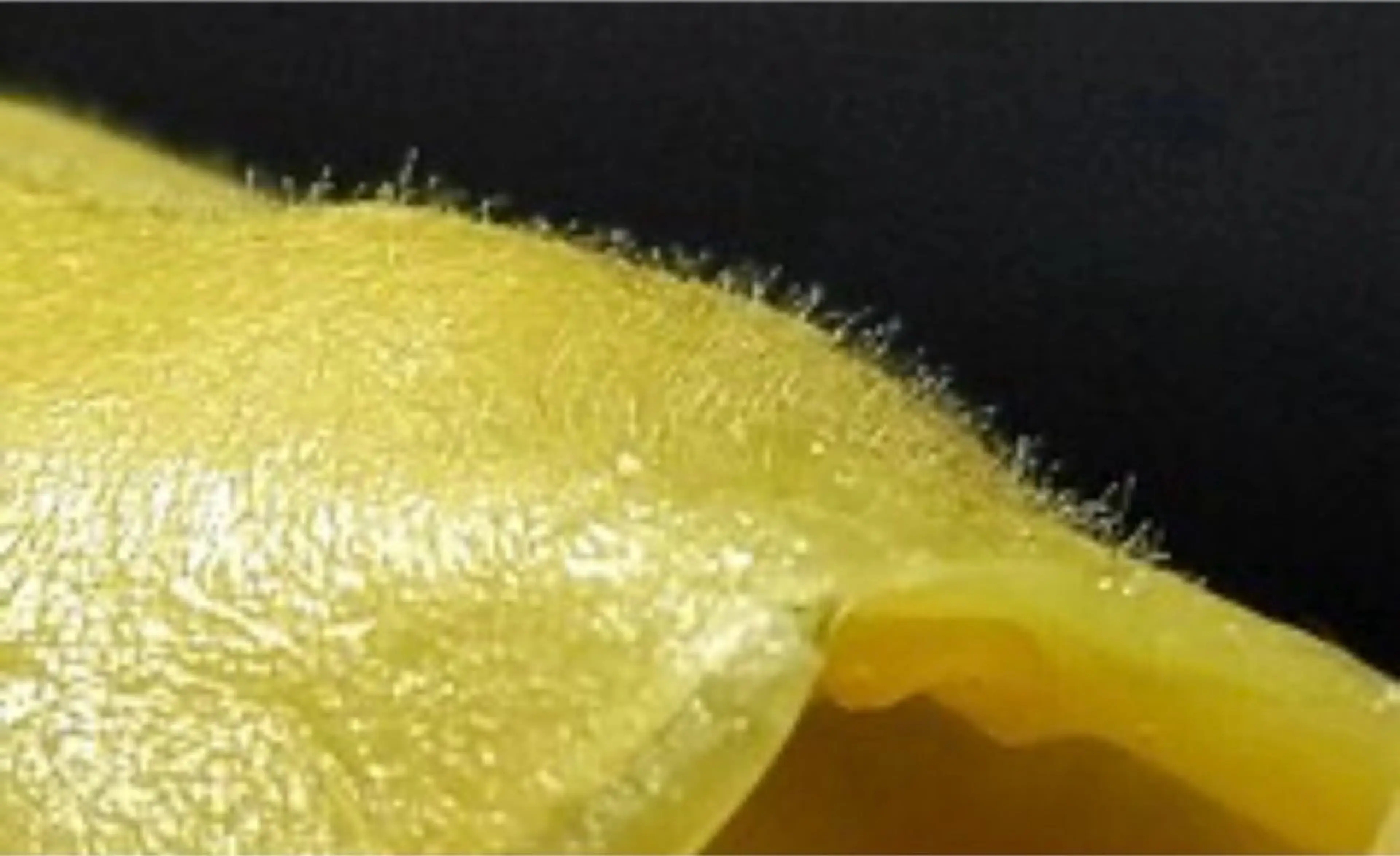 stella 柴山のエステ・リラクイメージ