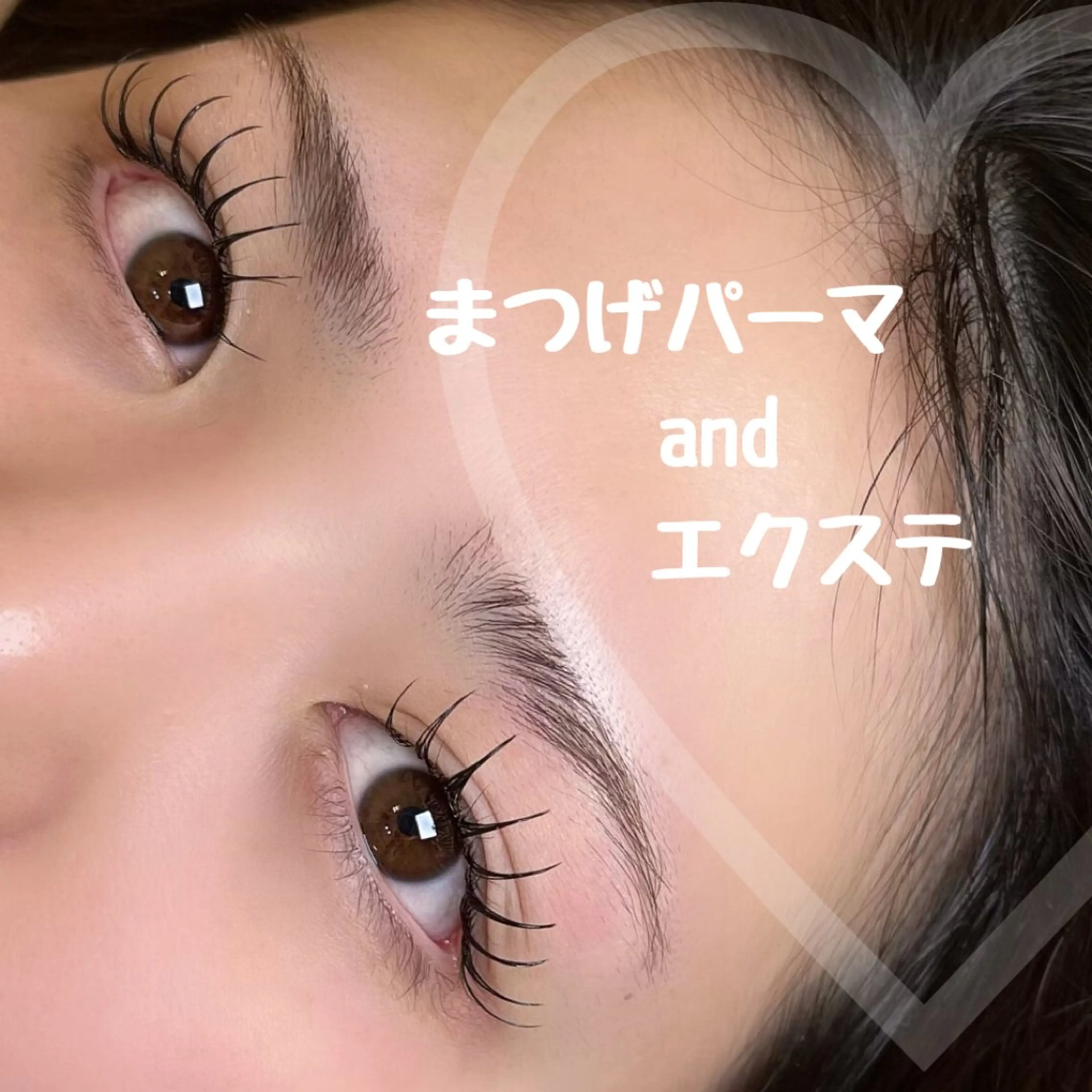 ☆パリエク・リフエク　100本の写真