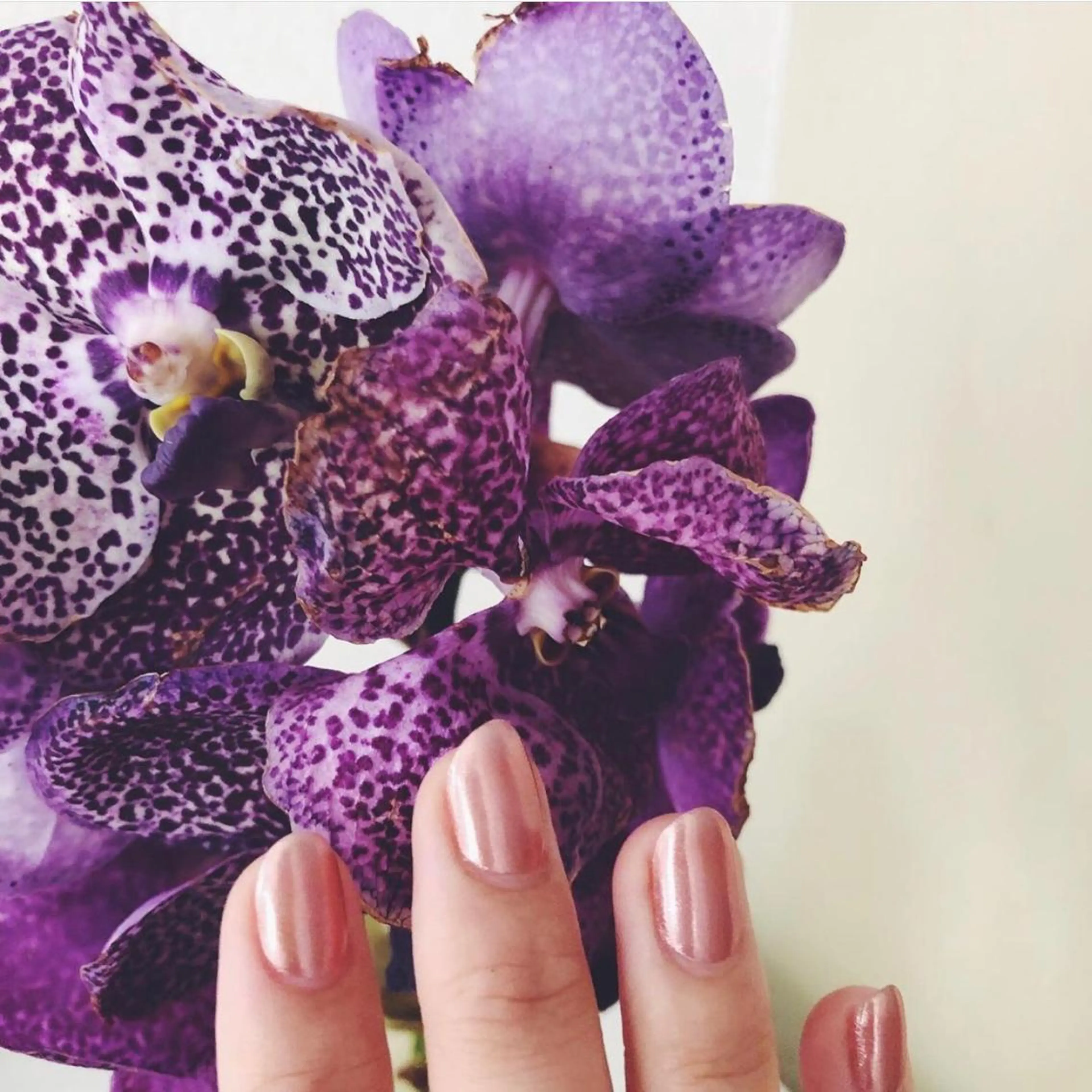 ネイル ミラーネイル ハンドネイル フットネイル ハンドケア Miyagi Asamiのネイルデザイン