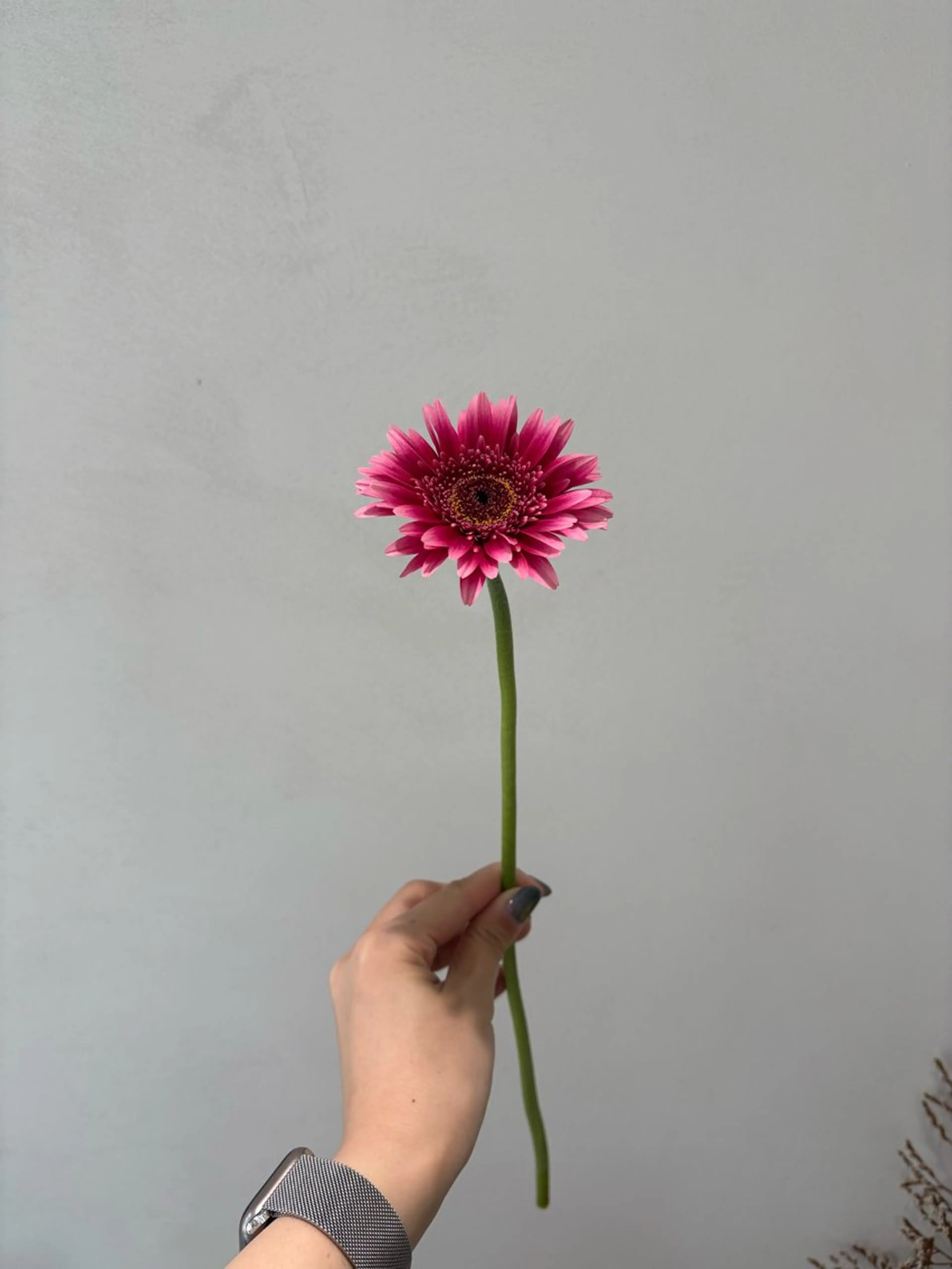 カット ヘアカラー トリートメント 🪻花屋併設🪻秀島 有紀のヘアスタイル