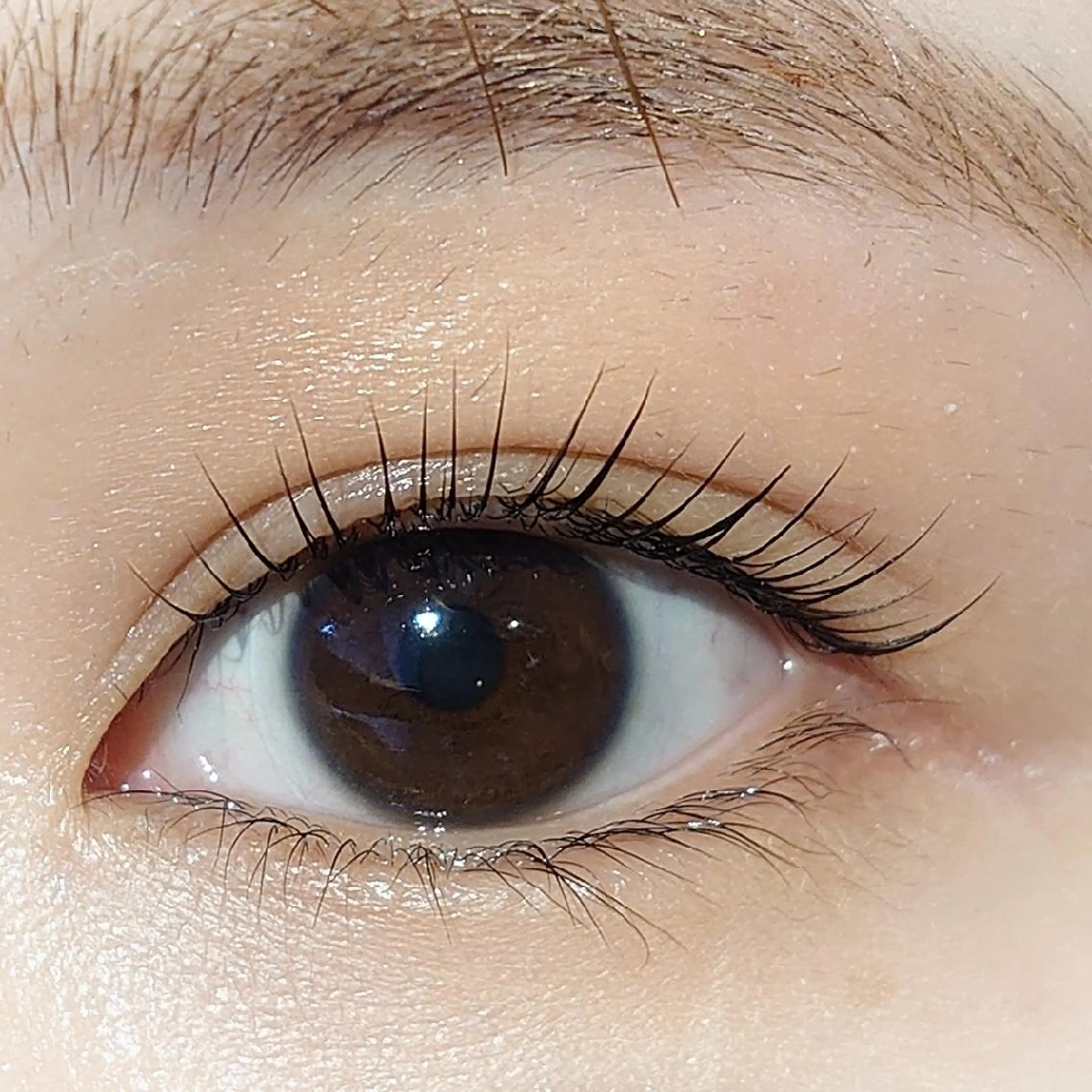 マツエク・マツパ パリジェンヌラッシュリフト さ とうのマツエク・マツパデザイン