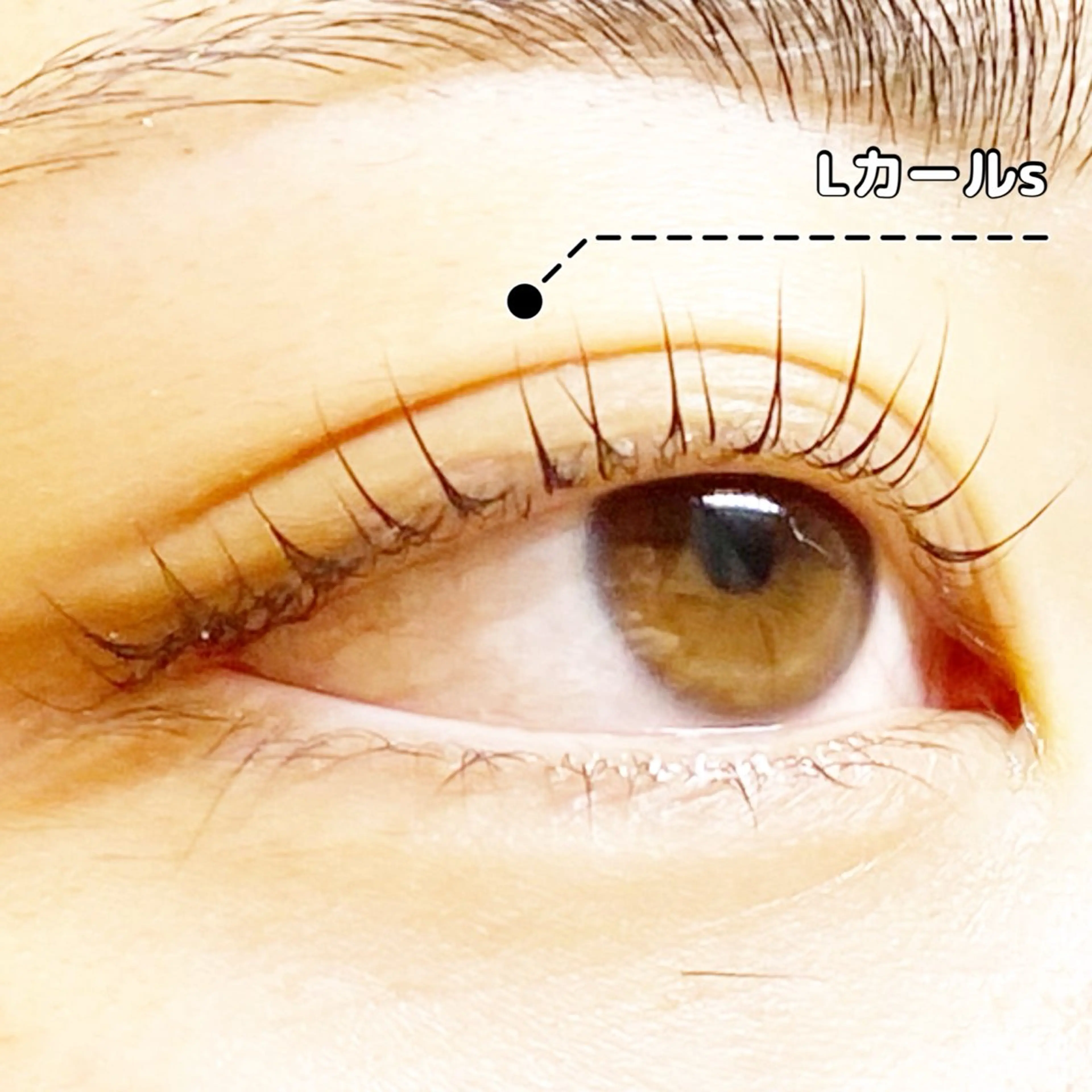 マツエク・マツパ Lカール LC尾張旭店🫧 いしいのマツエク・マツパデザイン