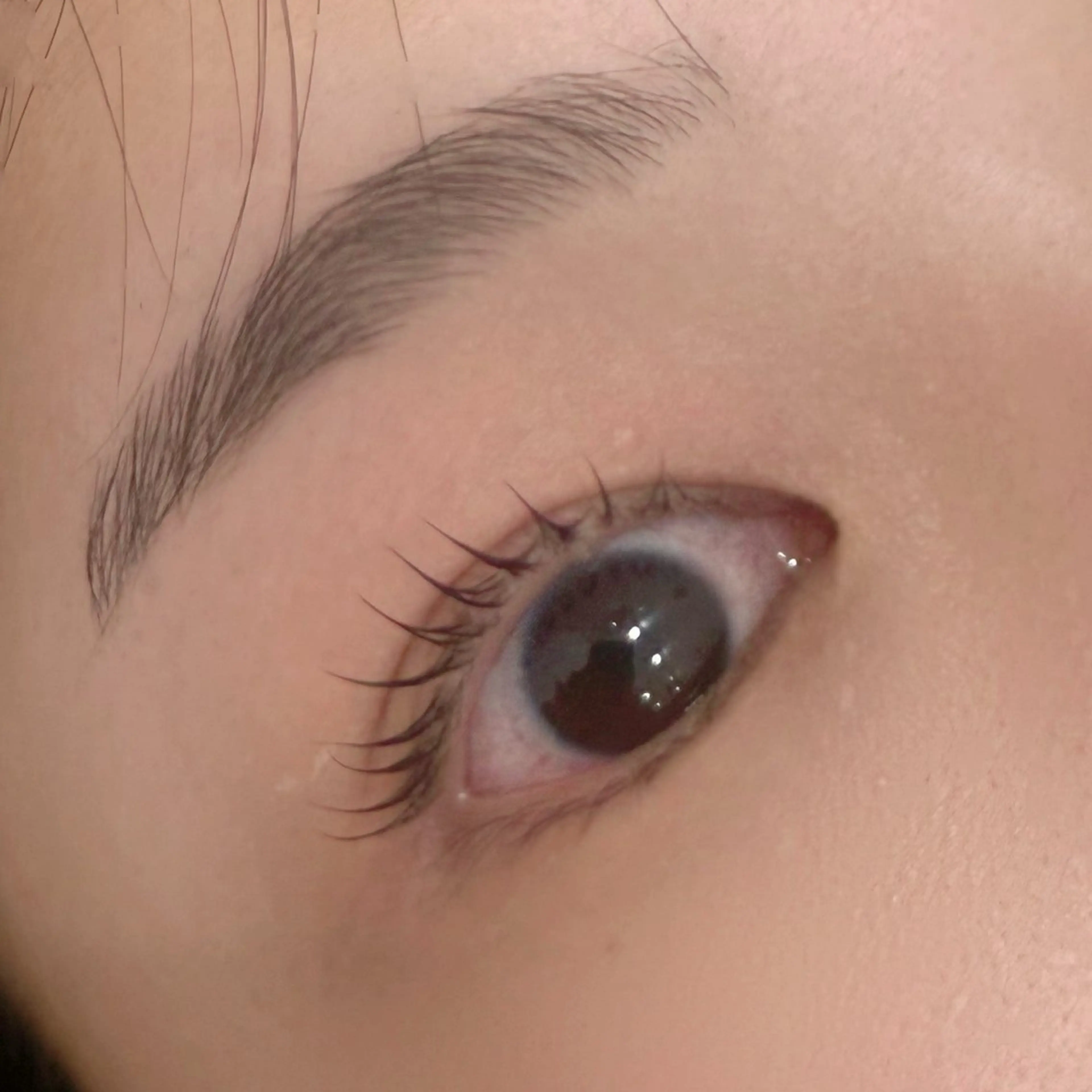 マツエク・マツパ マツパ Labless/ Mio🤍のマツエク・マツパデザイン