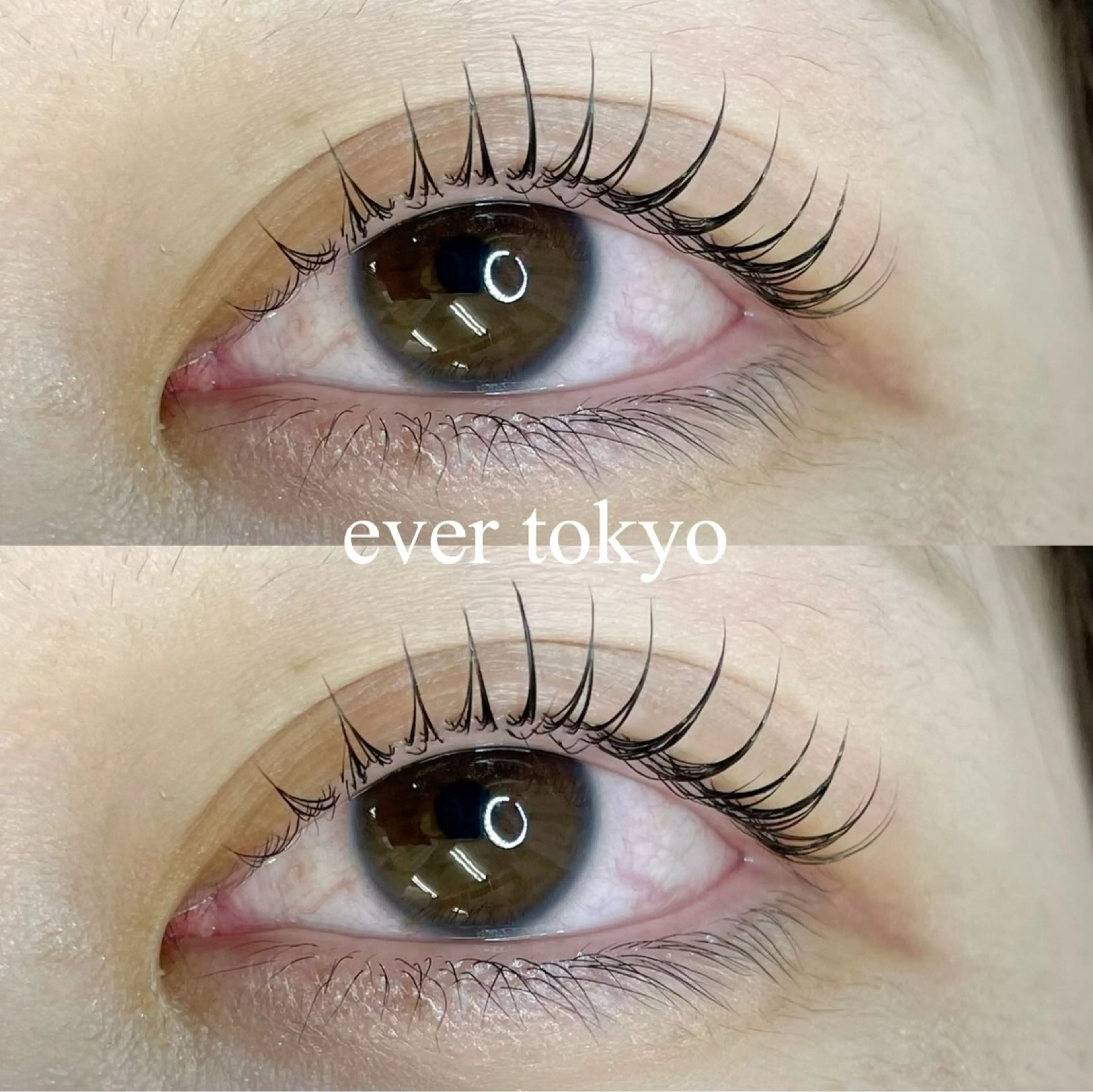 マツエク・マツパ Dカール alicetokyo 天神店のマツエク・マツパデザイン