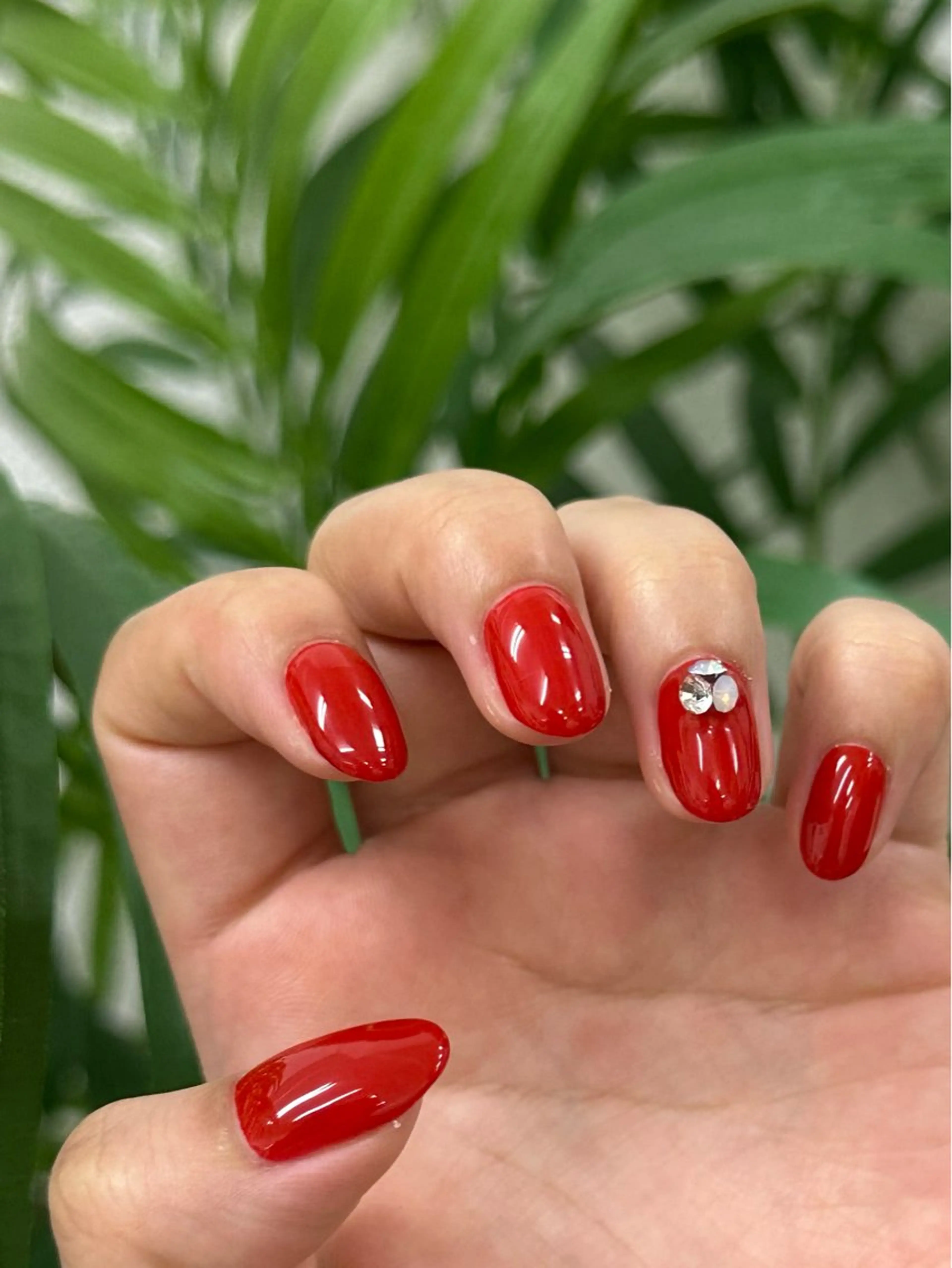 ネイル ワンカラーネイル nails by tete🧸のネイルデザイン