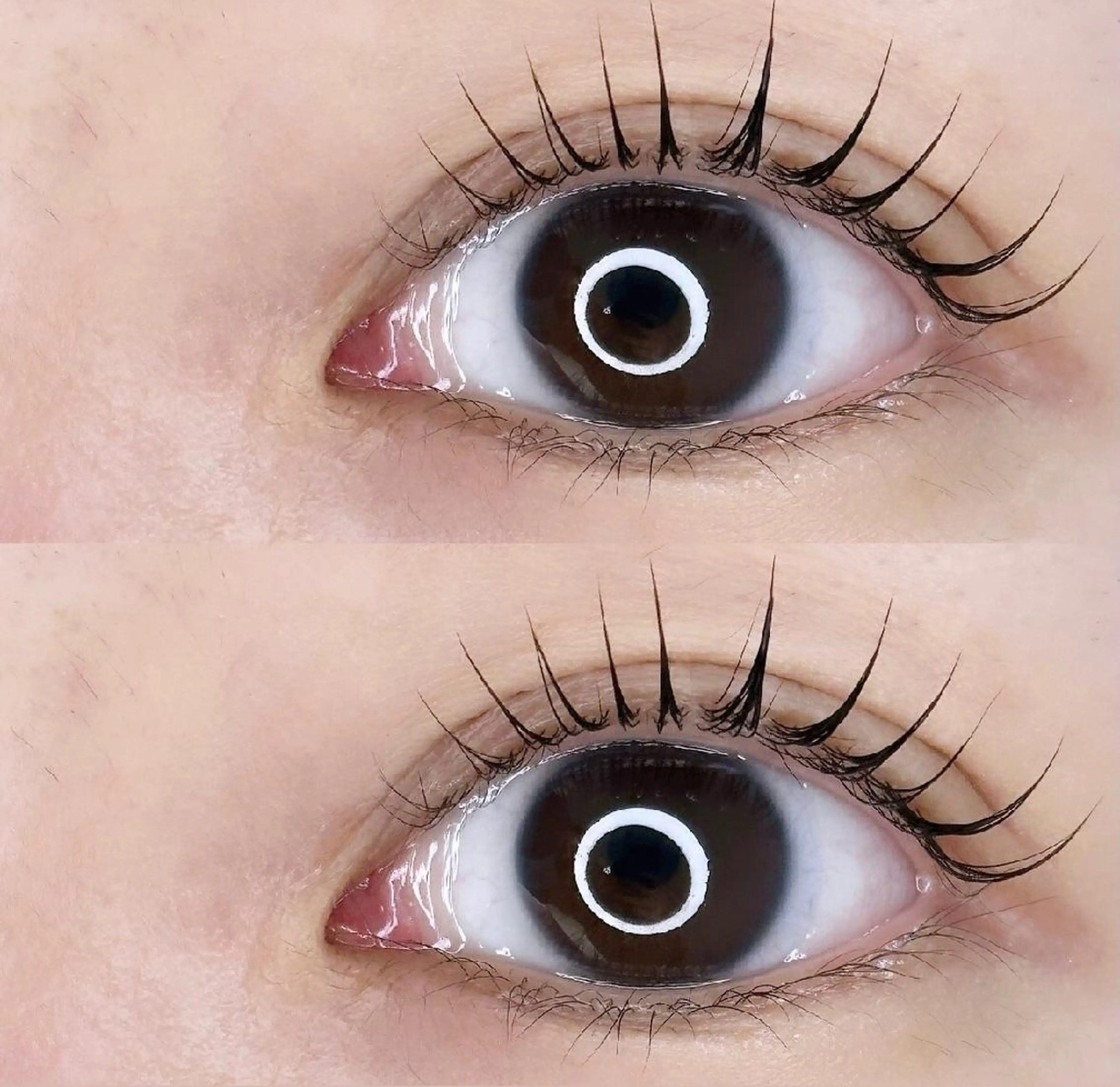 【2回目以降の方限定のご案内可能】まつげパーマの写真