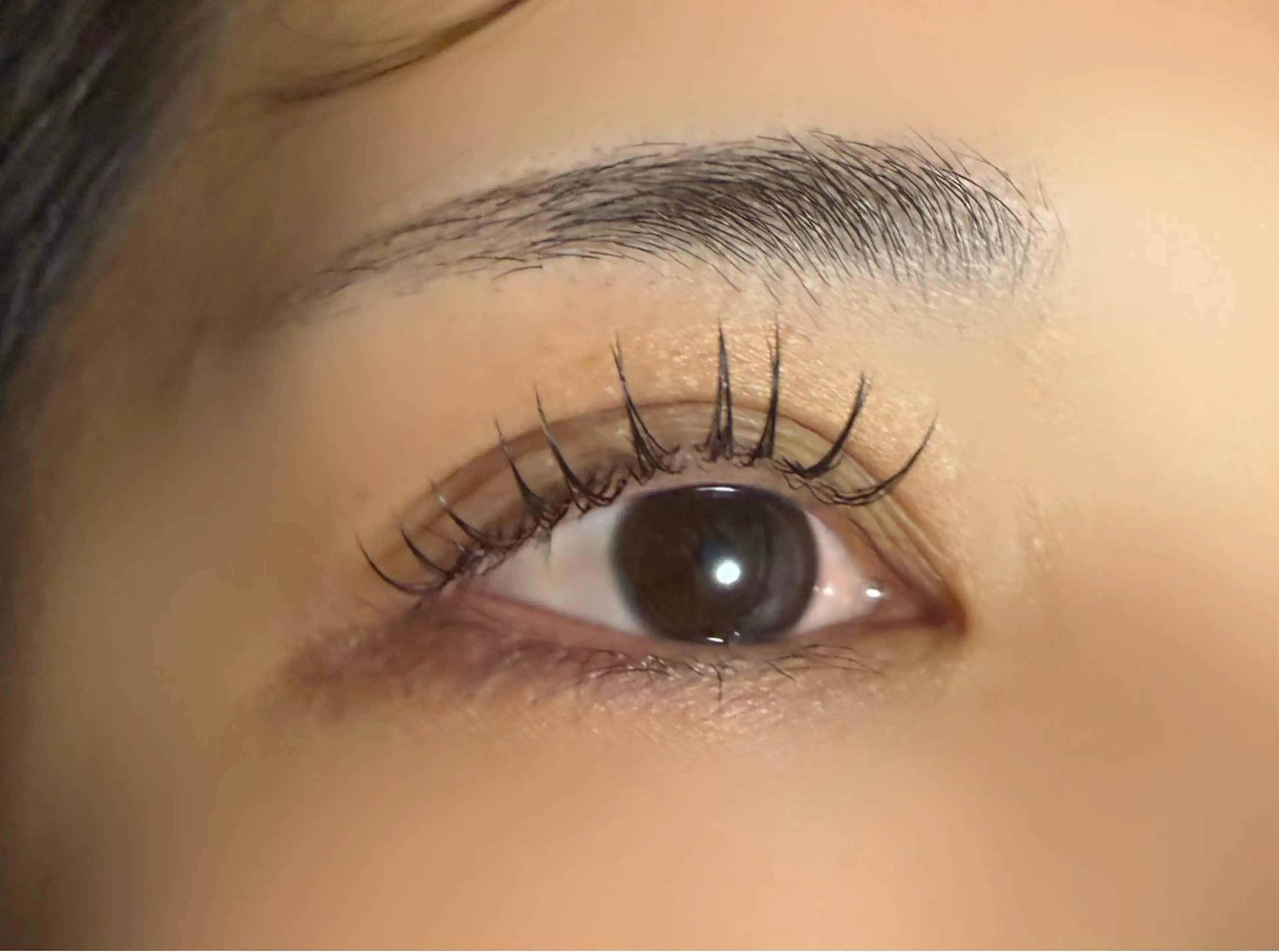 マツエク・マツパ フラットラッシュ マツエク Carna makiのマツエク・マツパデザイン