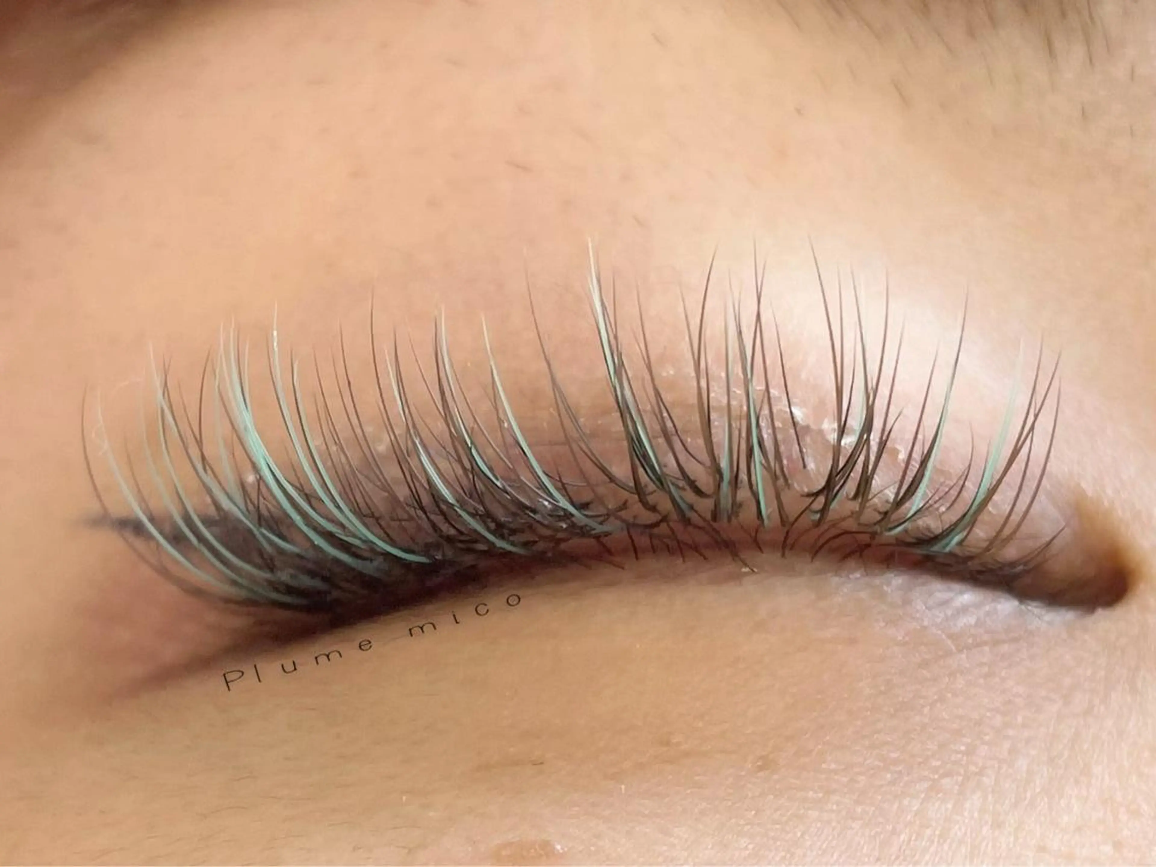 マツエク・マツパ マツエク Plume micoのマツエク・マツパデザイン