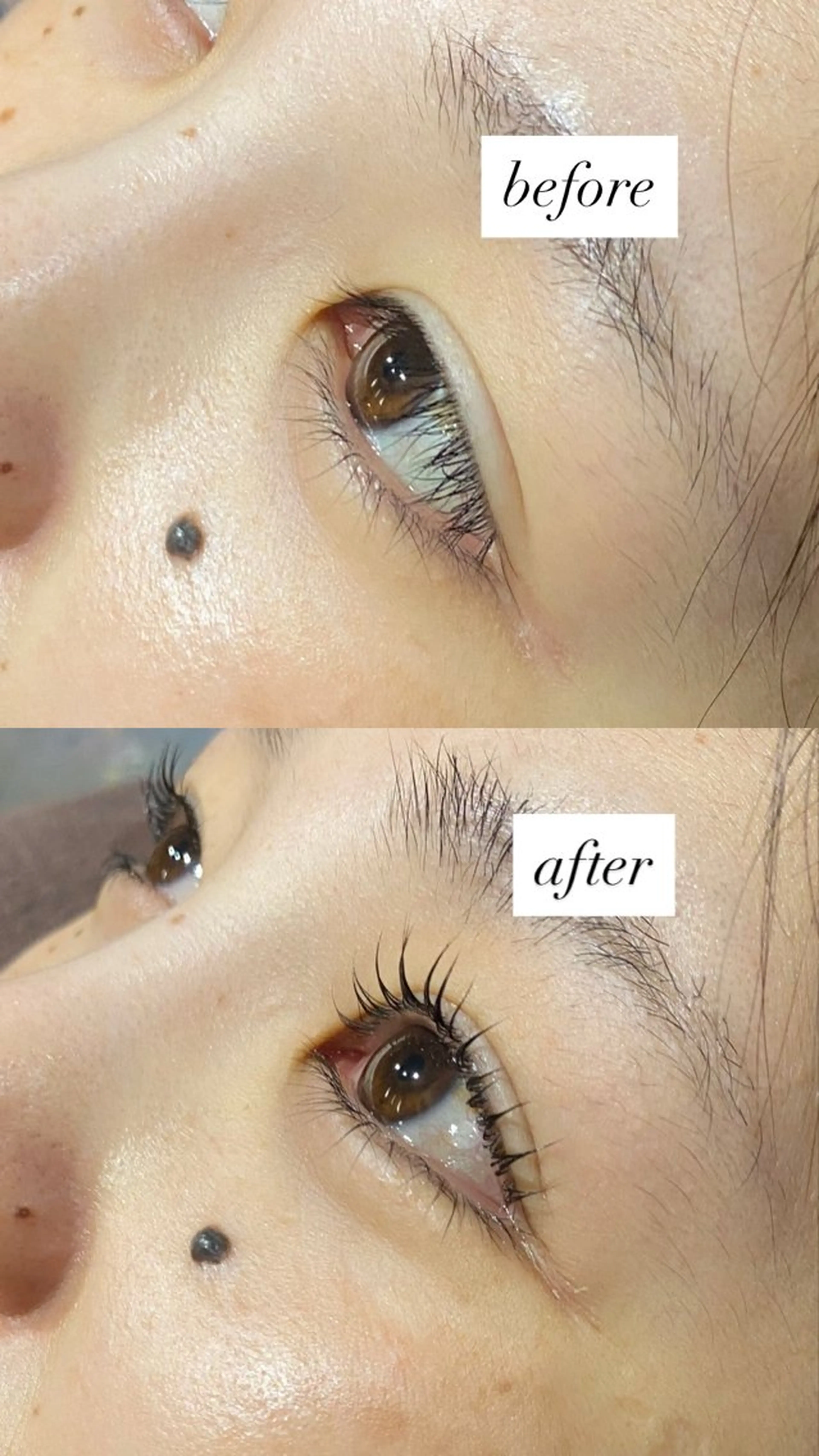 🎀ご新規様限定価格🎀パリジェンヌ/メーテル/ラッシュリフト＋ブラックティントの写真