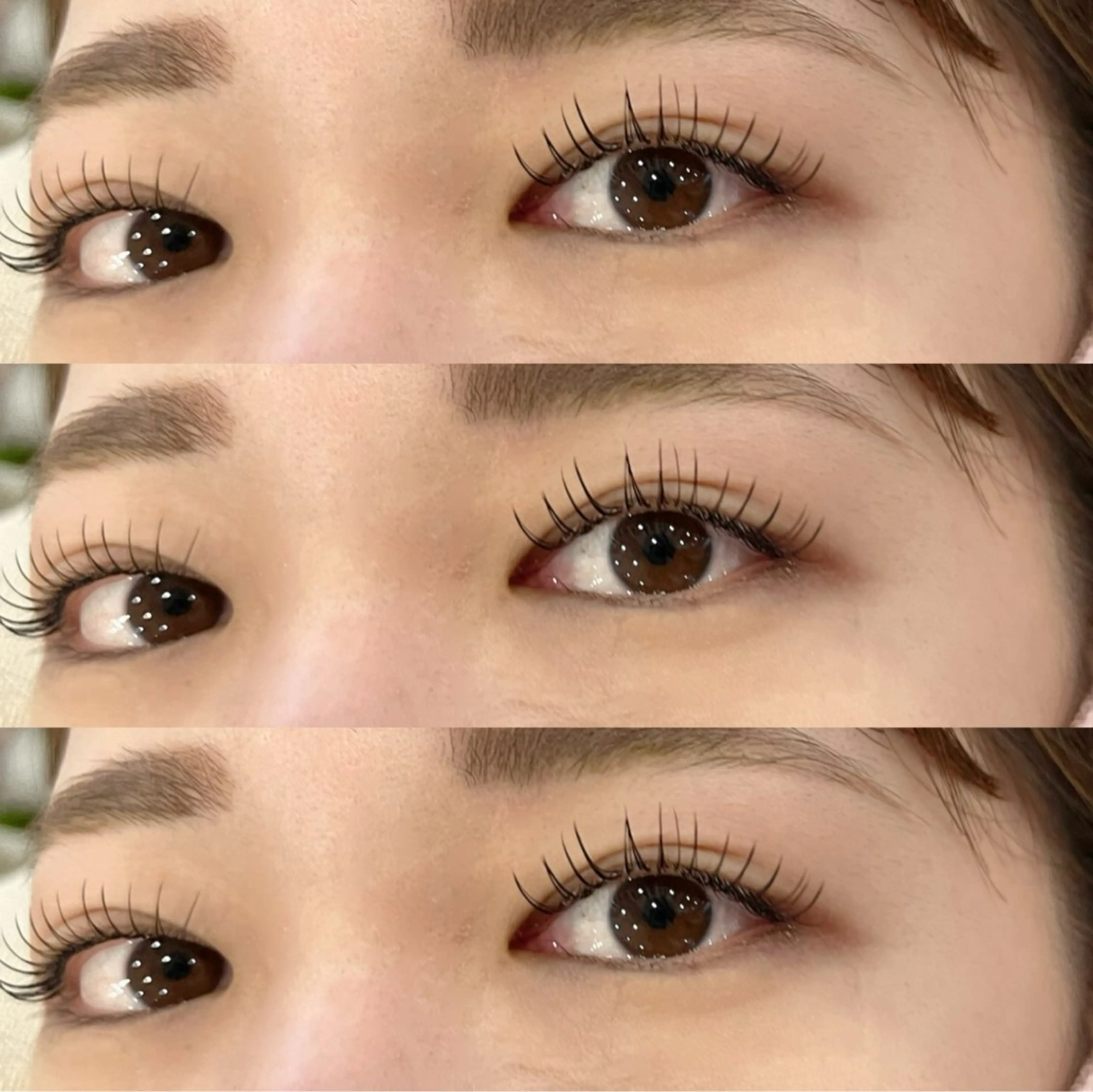 マツエク・マツパ フラットラッシュ マツエク Millie ainee 店長　神のマツエク・マツパデザイン