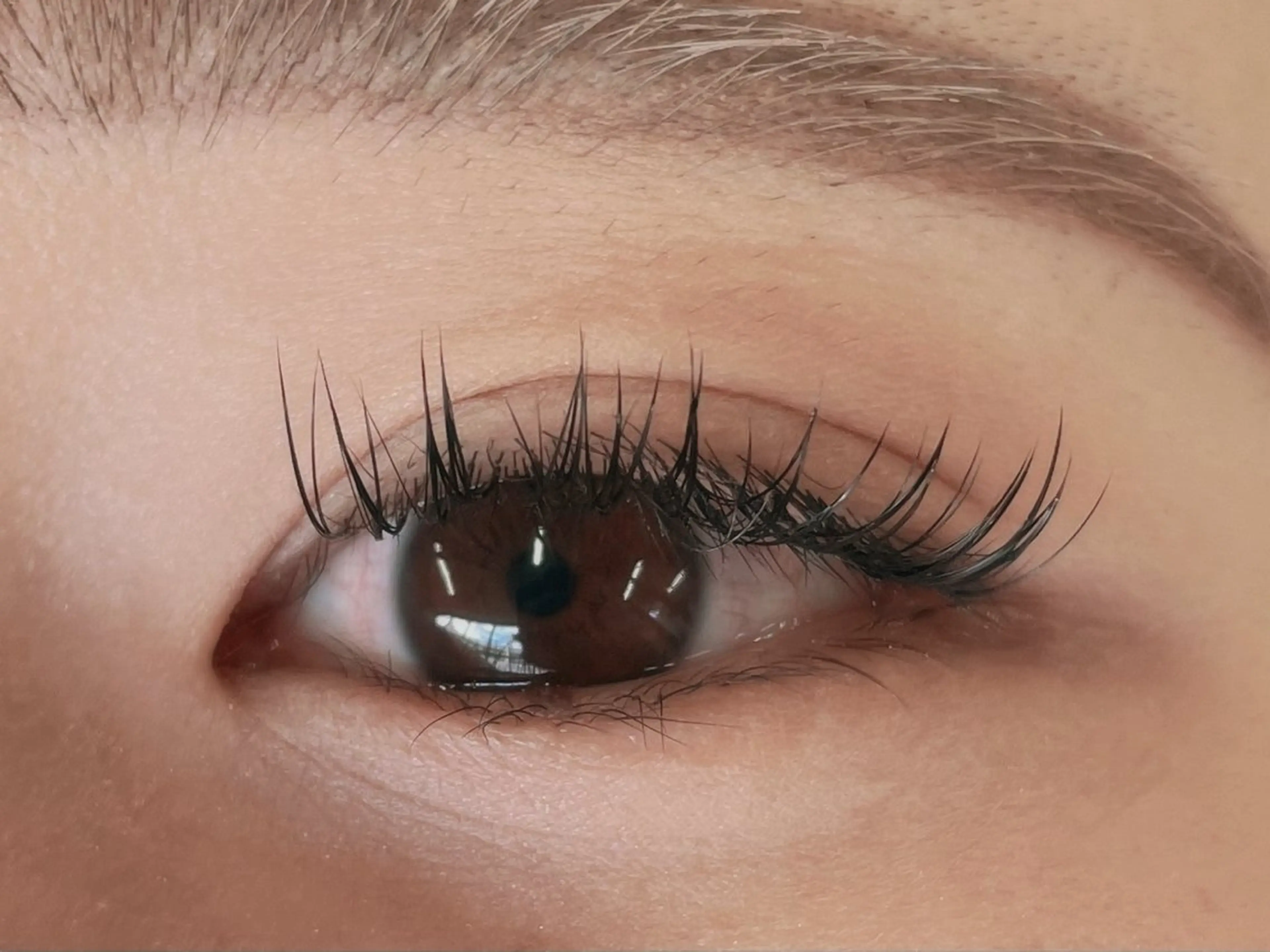 マツエク・マツパ バインドロック ナチュラル お客様専用 🤍のマツエク・マツパデザイン