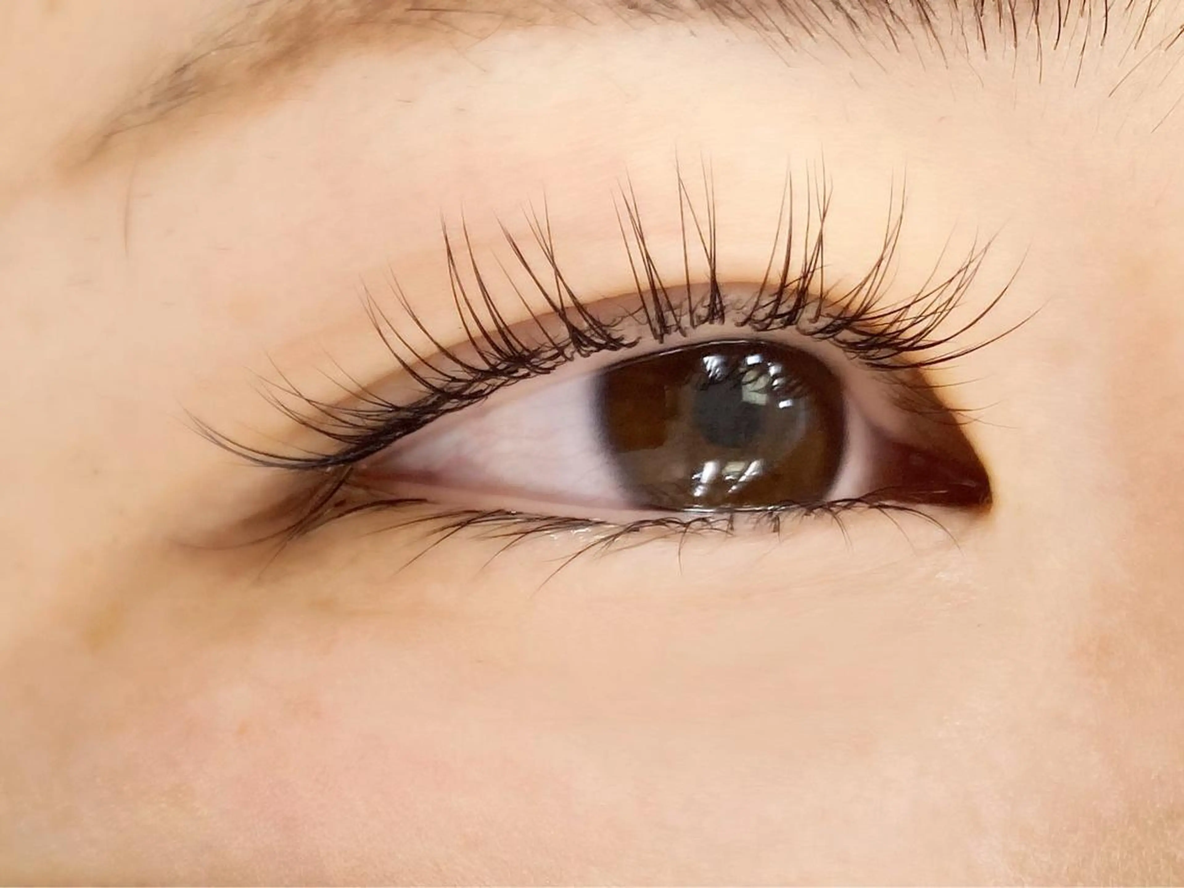 マツエク・マツパ シェリアン 江戸川橋店のマツエク・マツパデザイン