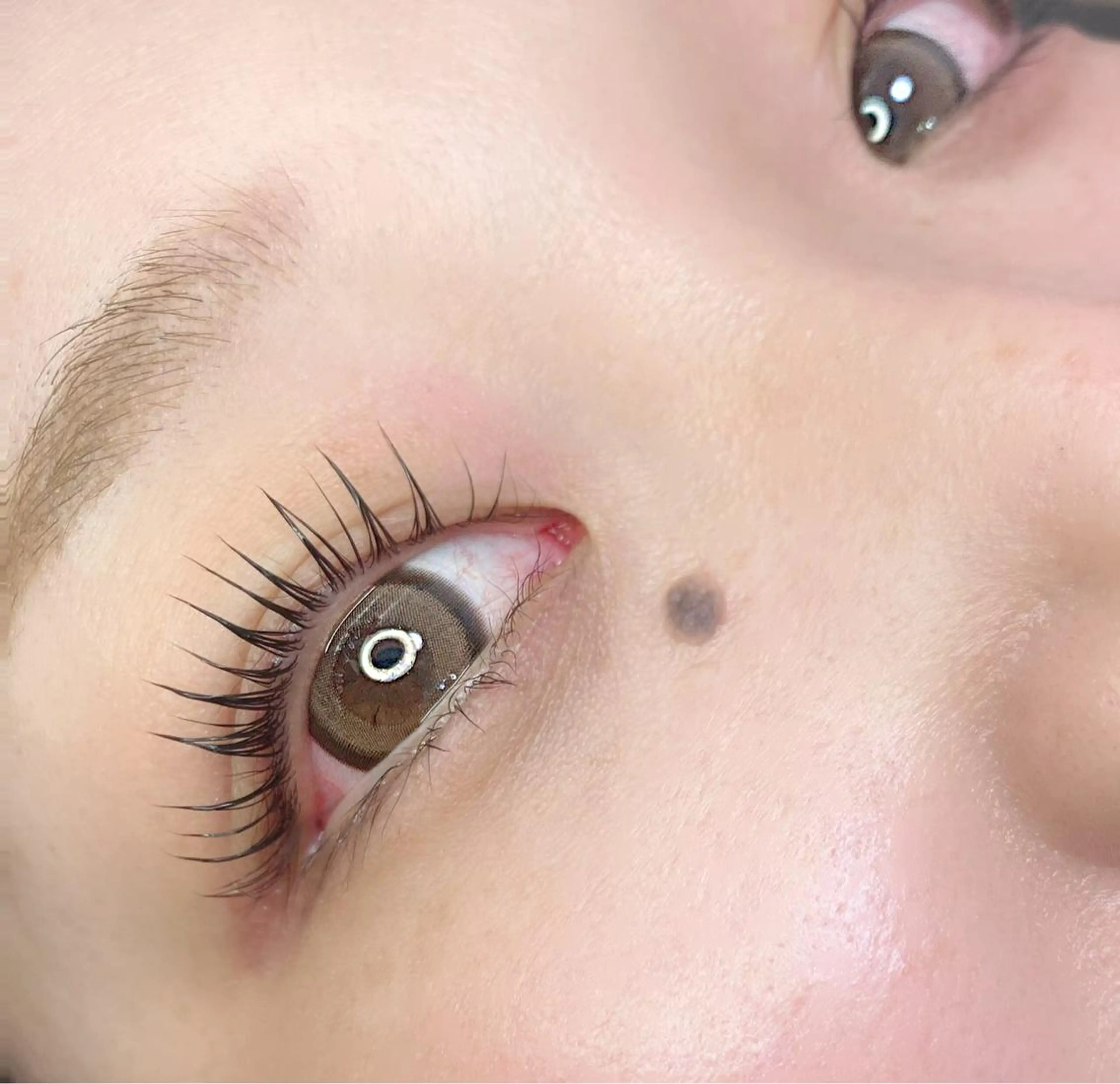 マツエク・マツパ Coa所属・eyelash/ Renaのマツエク・マツパデザイン