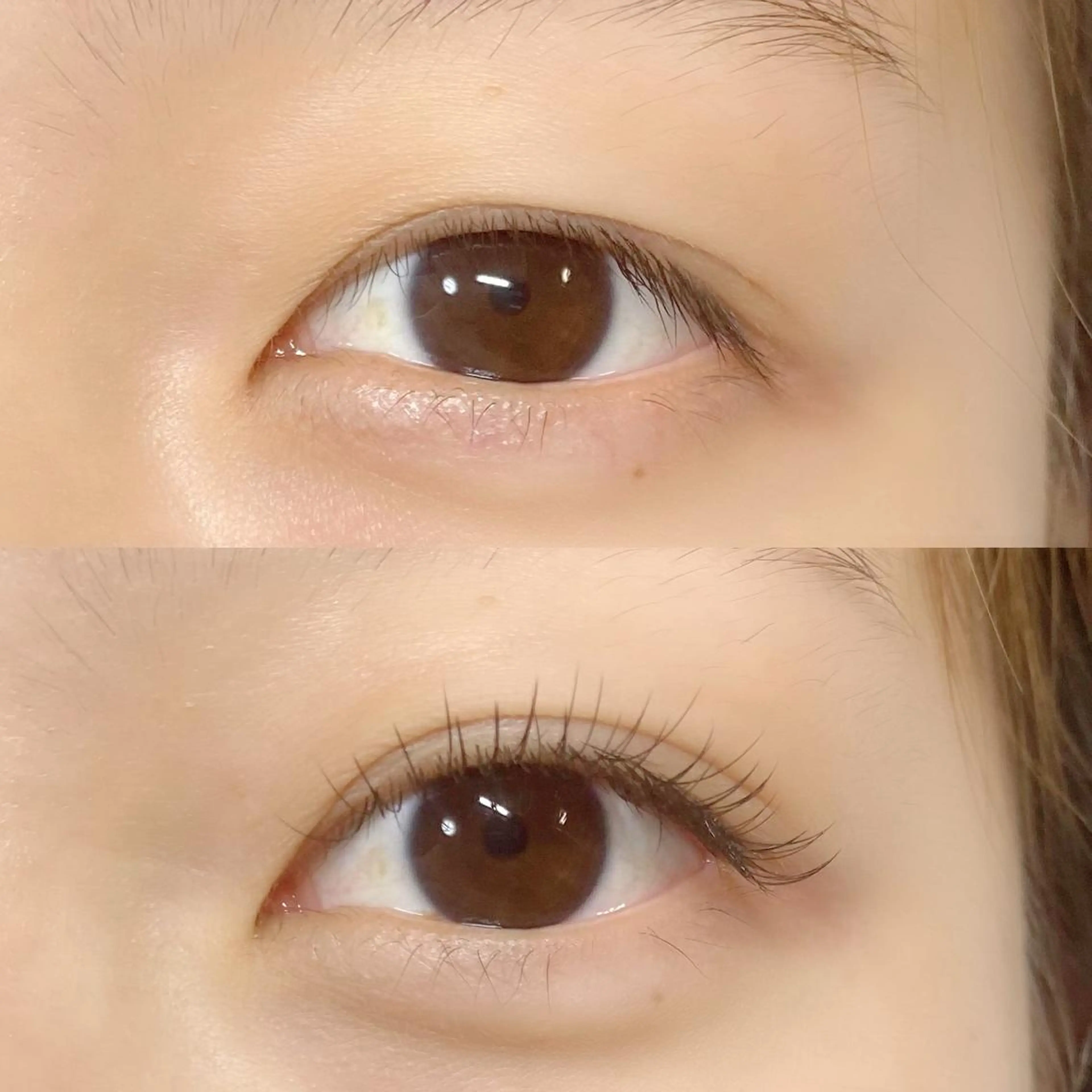 マツエク・マツパ CITRON ⭐︎のマツエク・マツパデザイン