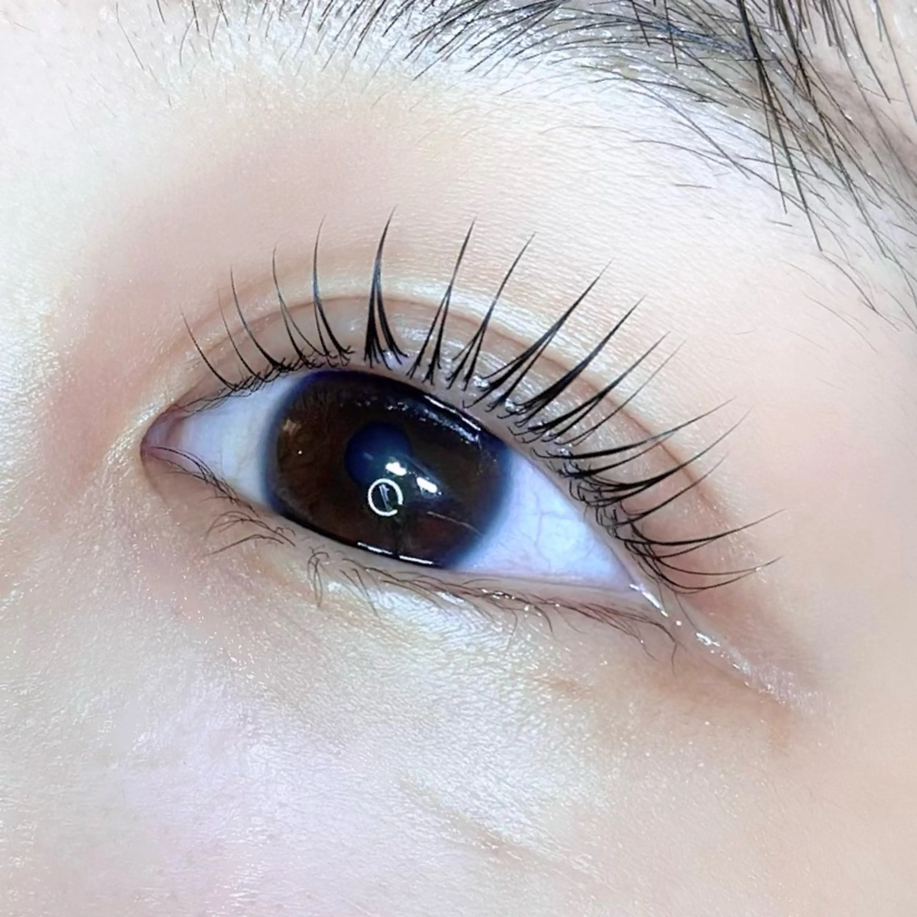 マツエク・マツパ ella eyelashのマツエク・マツパデザイン
