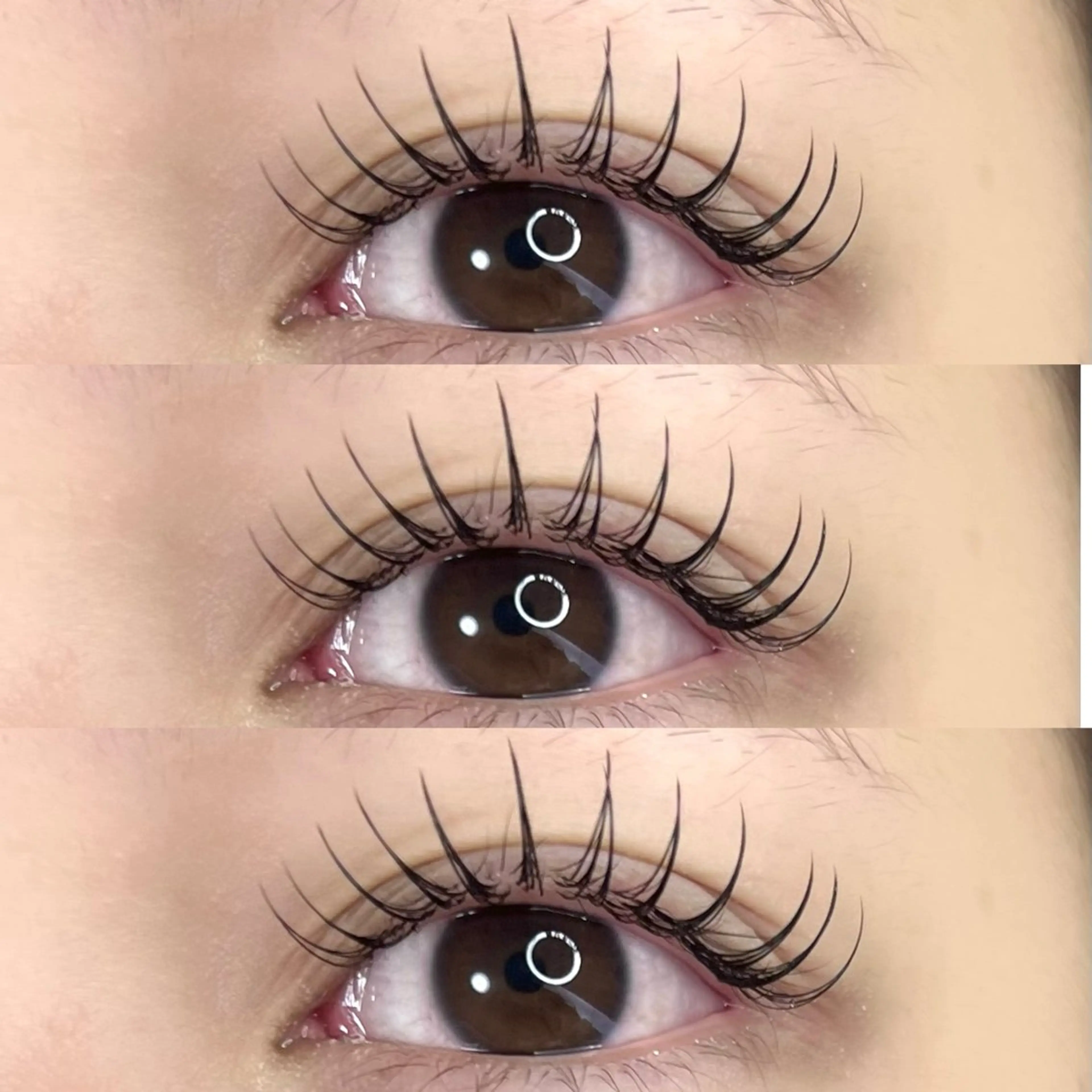 🦋フラットラッシュ 80本(オフ込みコーティング仕上げ)の写真