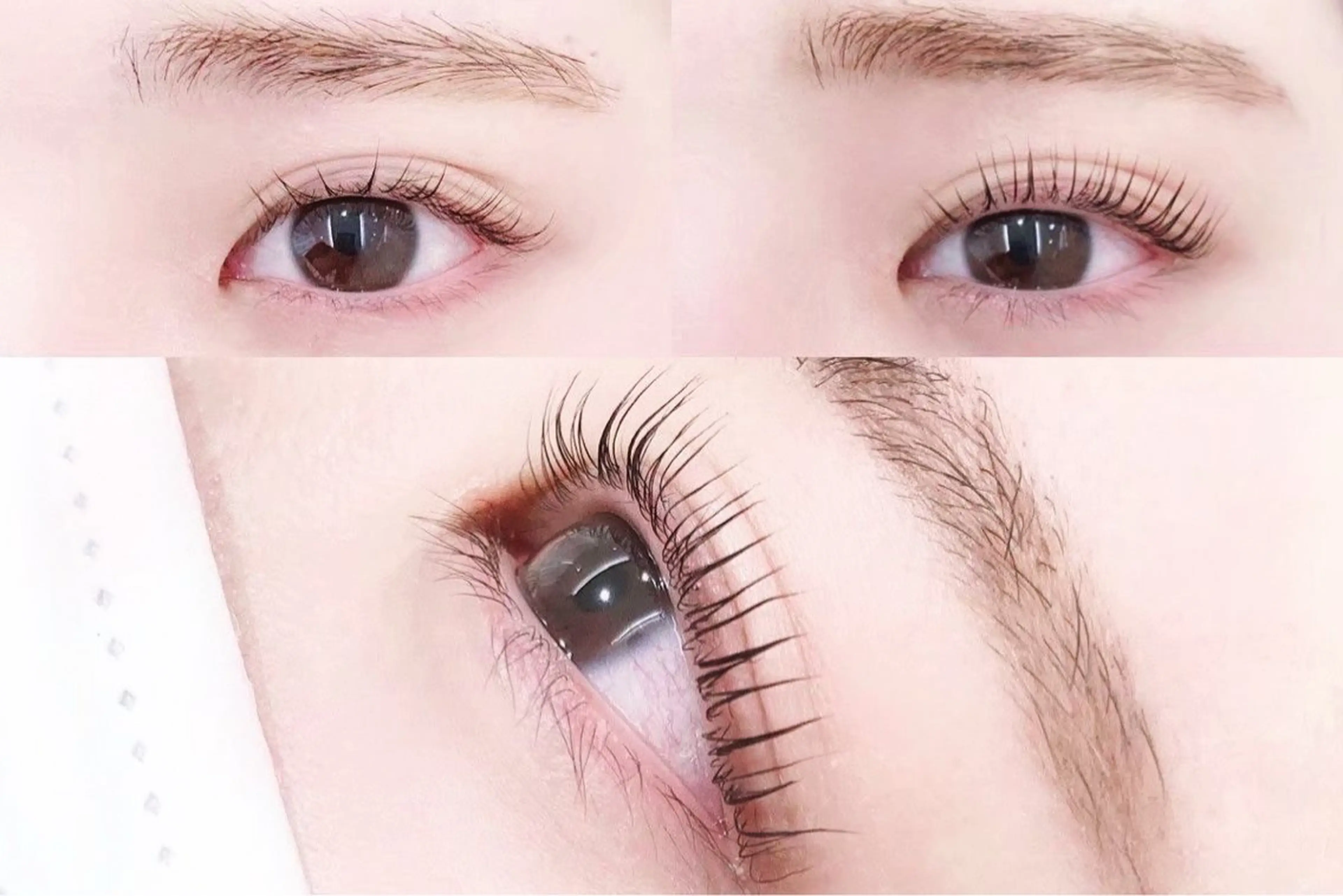 マツエク・マツパ ゆあ ♪🎀のマツエク・マツパデザイン