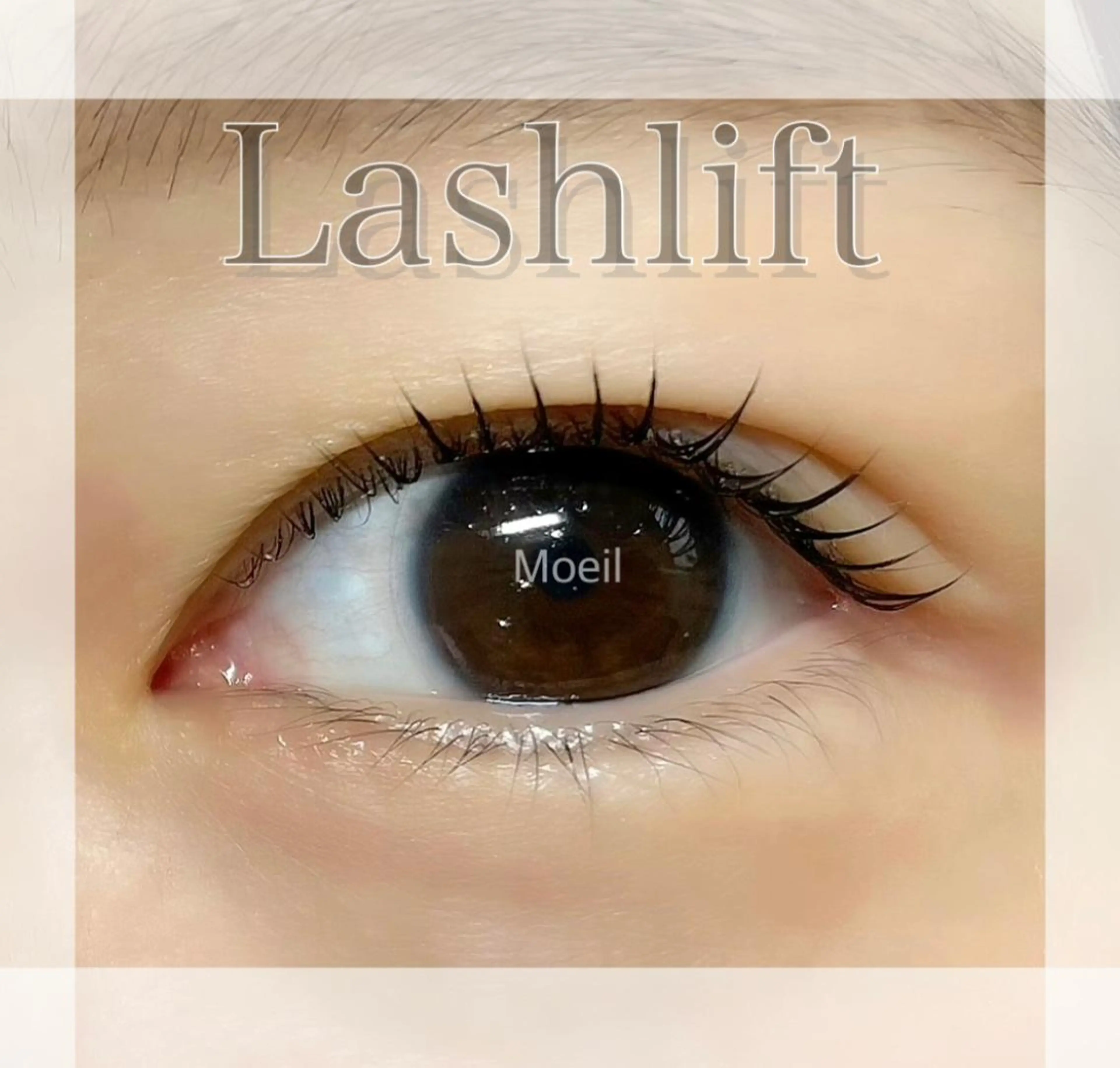 マツエク・マツパ マツパ Moeil. /ﾓｲﾕのマツエク・マツパデザイン