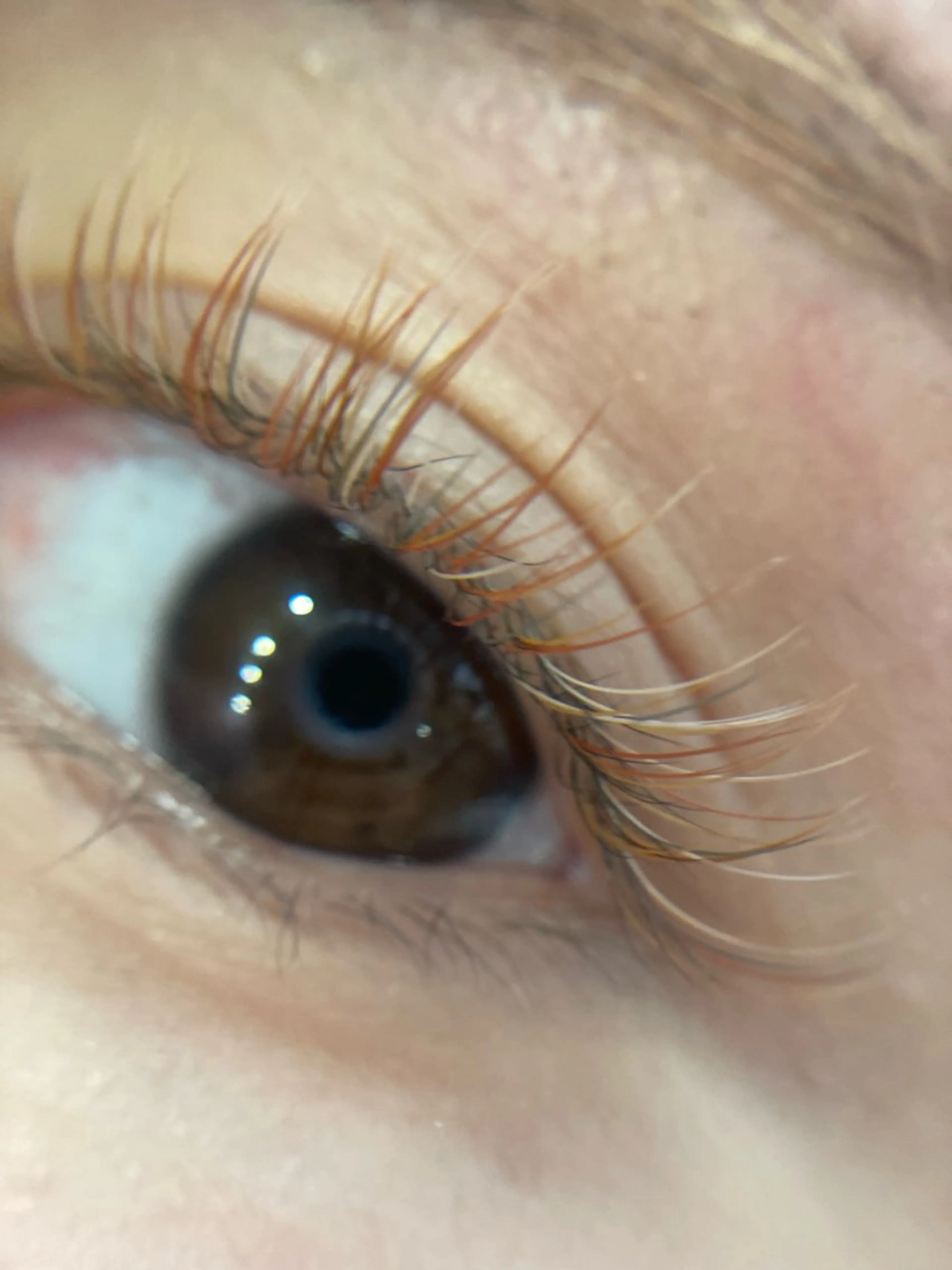 マツエク・マツパ becky lash ERIKOのマツエク・マツパデザイン