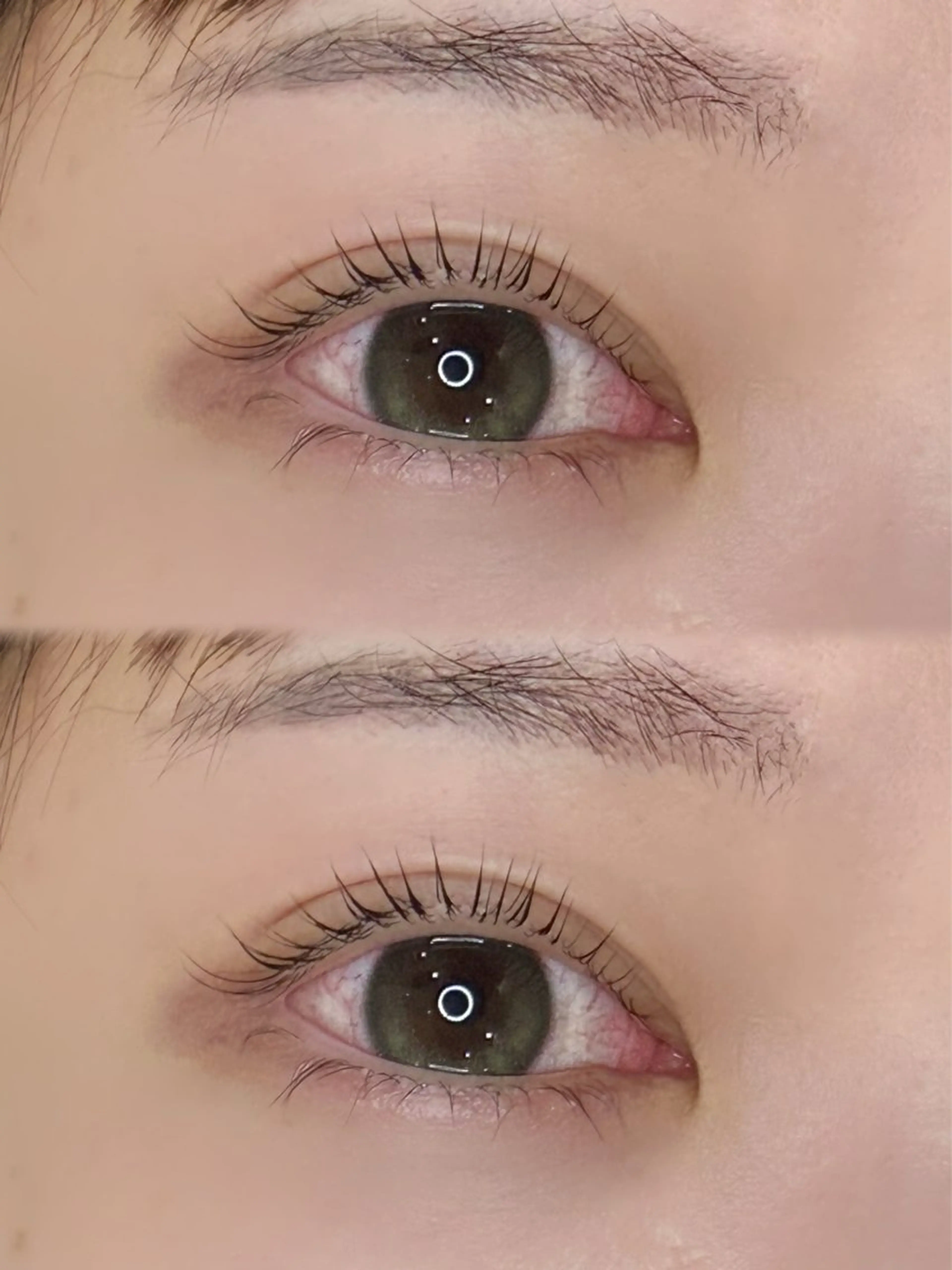 パリジェンヌラッシュリフト+コーティング🧸𖤐⡱の写真