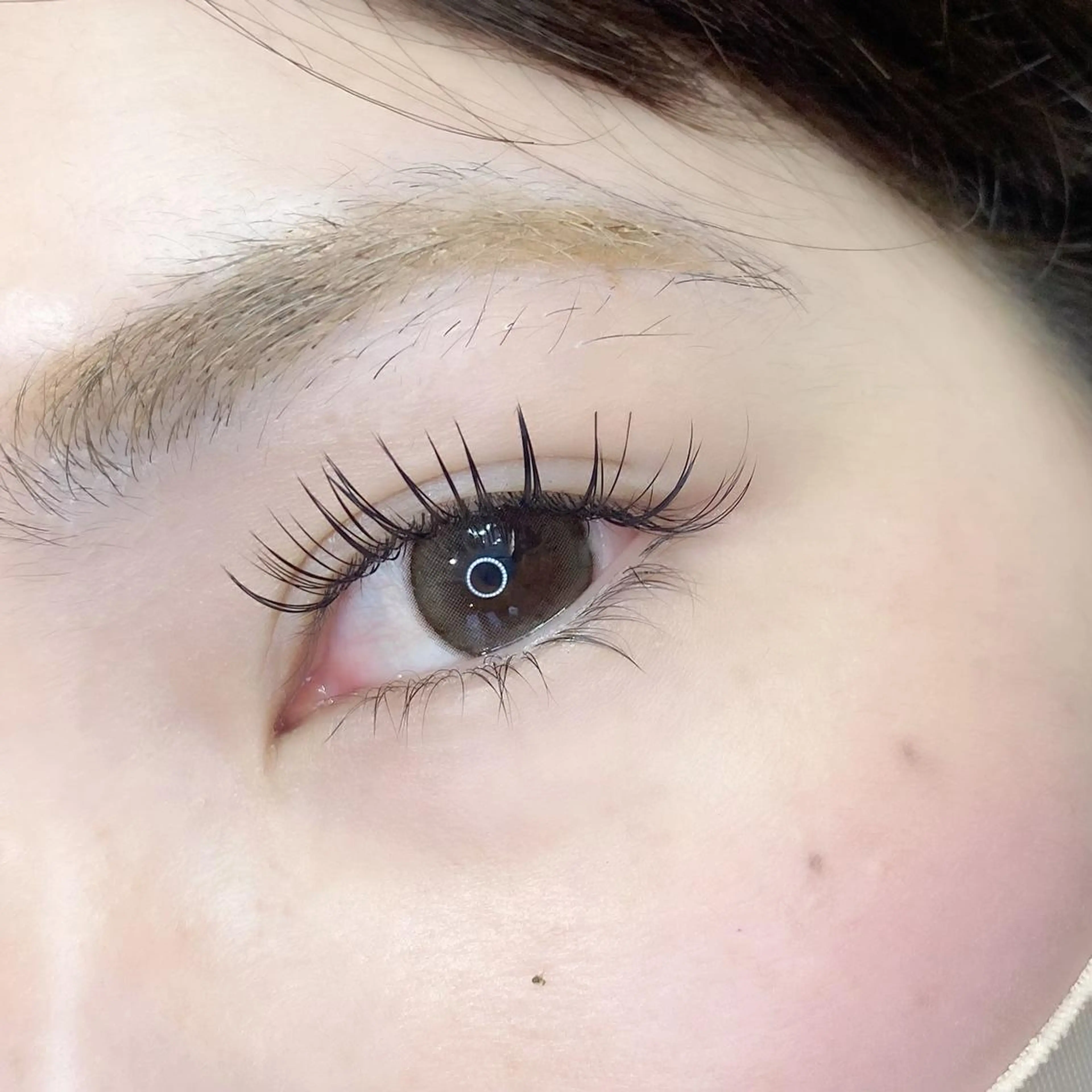 初めてのご来店で利用可💟 ¥6,900 🌟フラットラッシュ100本+下まつげ30本(オフ代込み)の写真