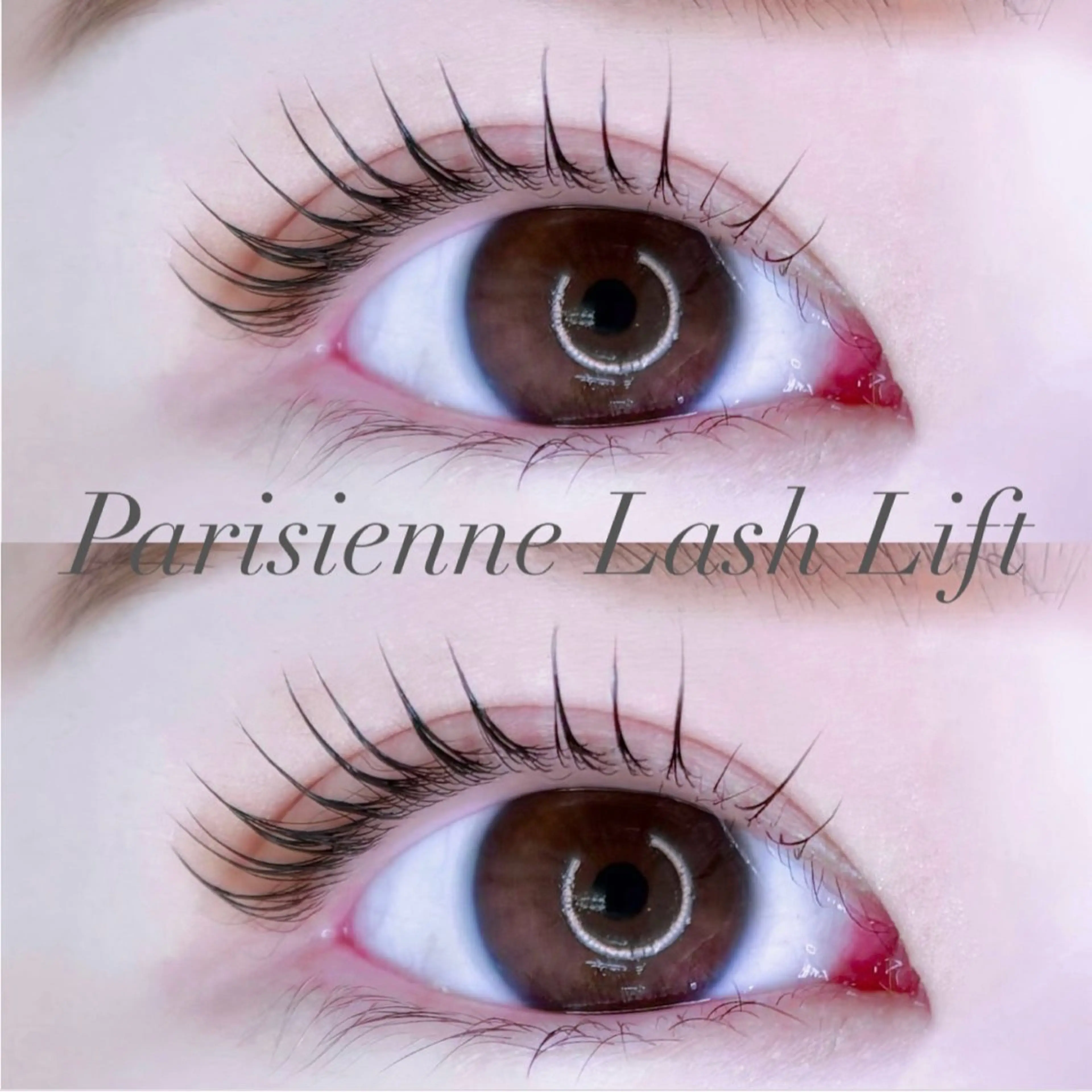 マツエク・マツパ パリジェンヌラッシュリフト IVY-NUE HITOMIのマツエク・マツパデザイン