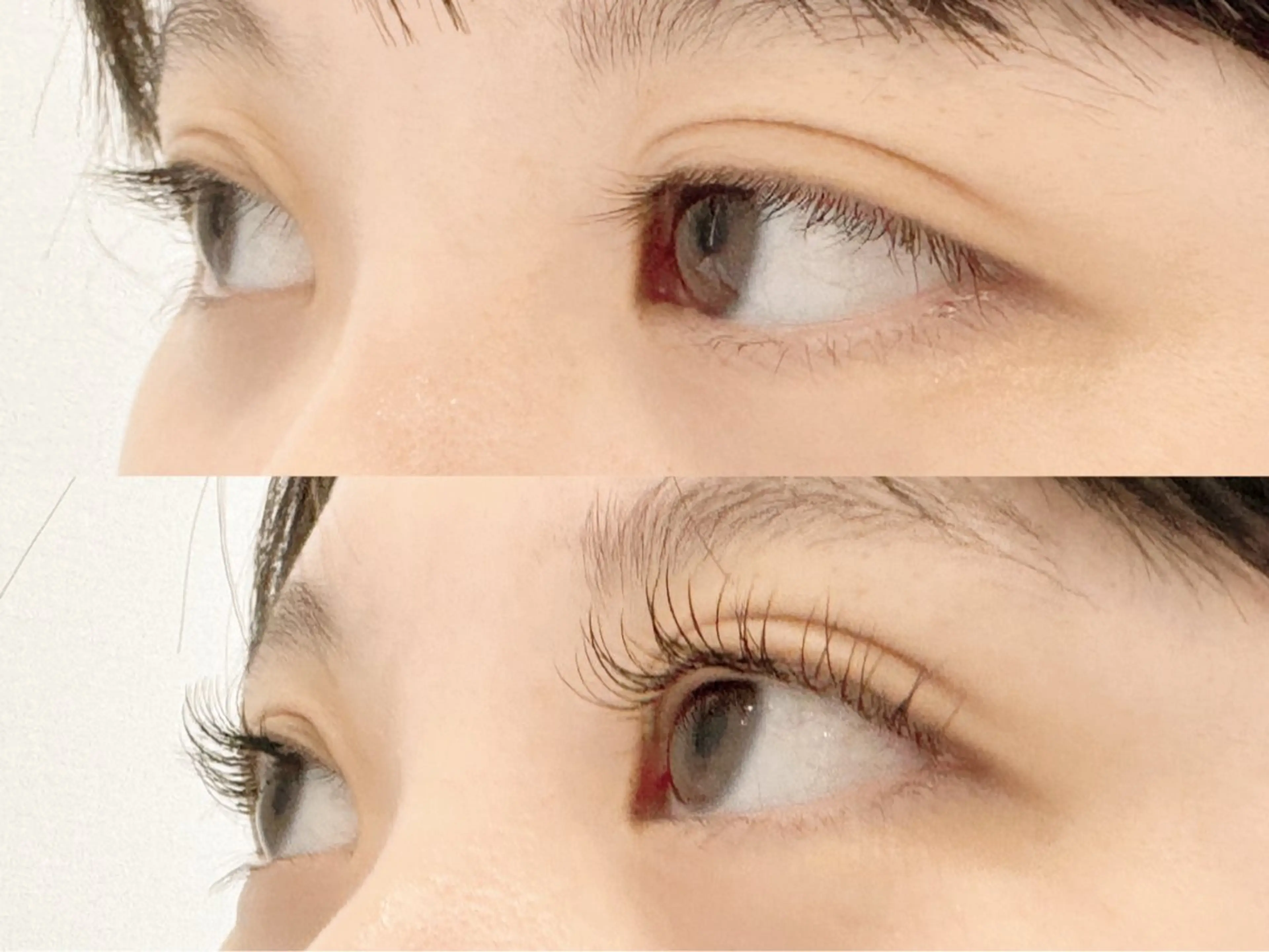 マツエク・マツパ 🧸Lily船橋 石川🌿のマツエク・マツパデザイン