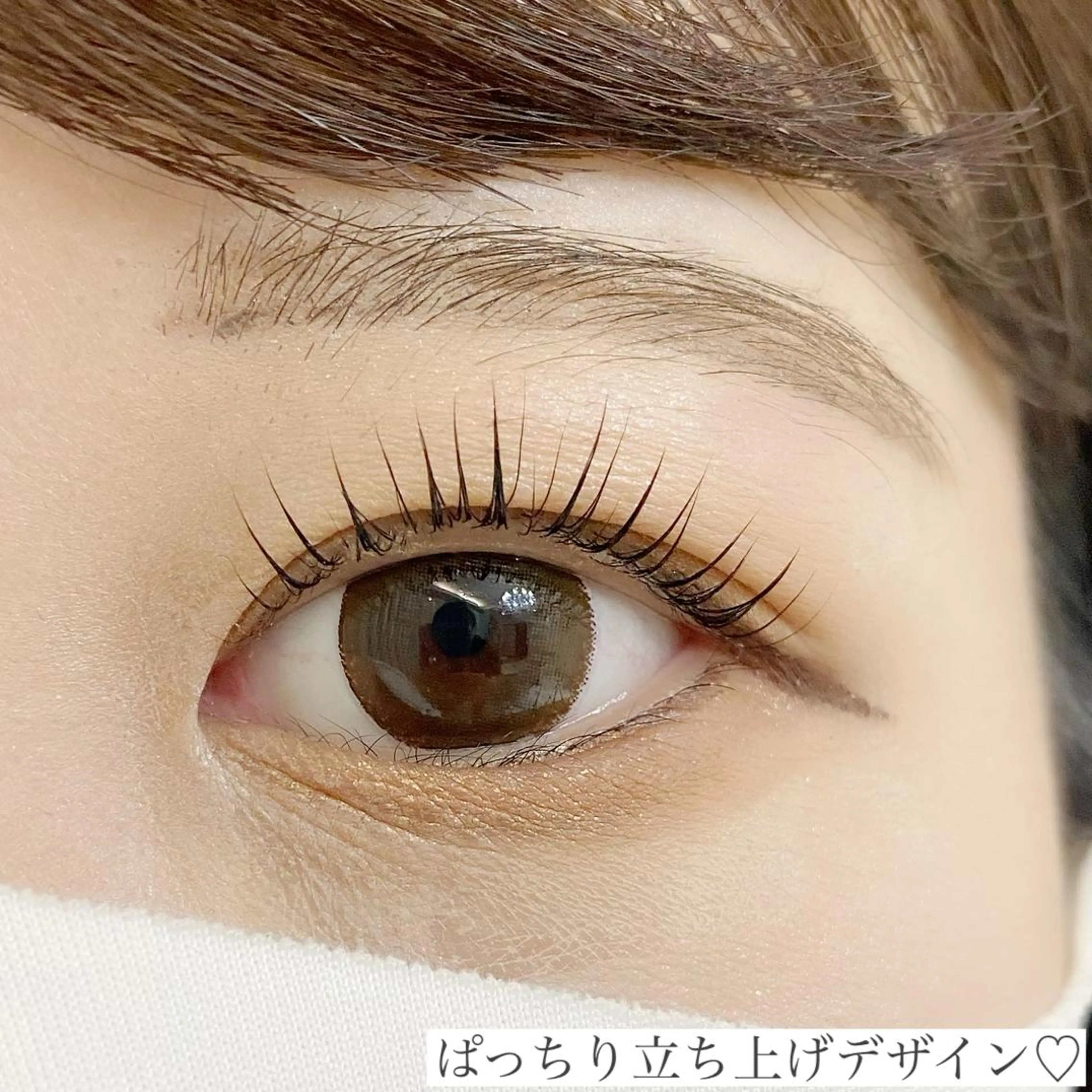 ミニモ限定 初回来店☪️¥4,200 ラッシュリフト上まつげ(まつげパーマ)美容液トリートメント&束感仕上げ❣️の写真