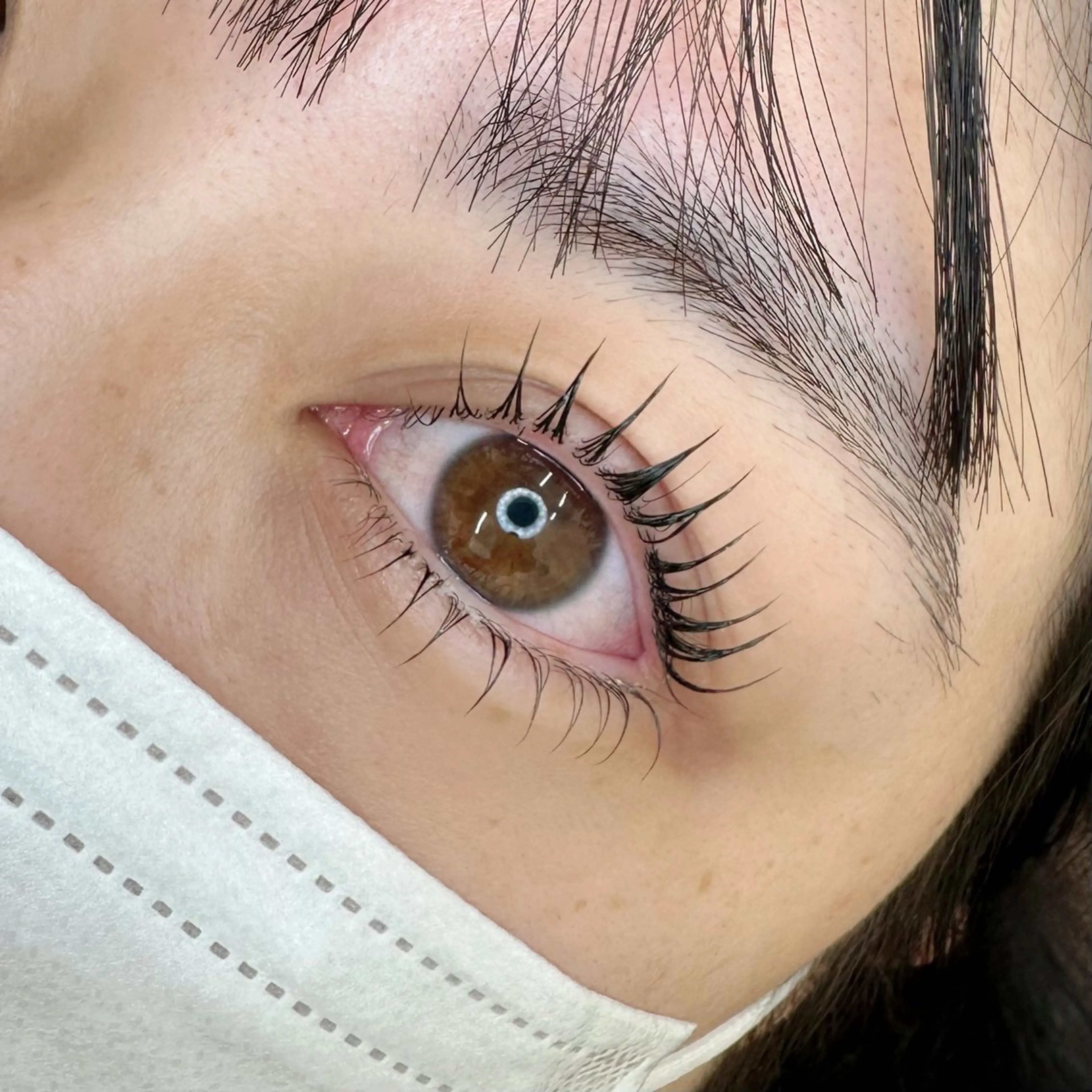 土日祝◯パリジェンヌorラッシュリフト🖤ブラックティント付きの写真