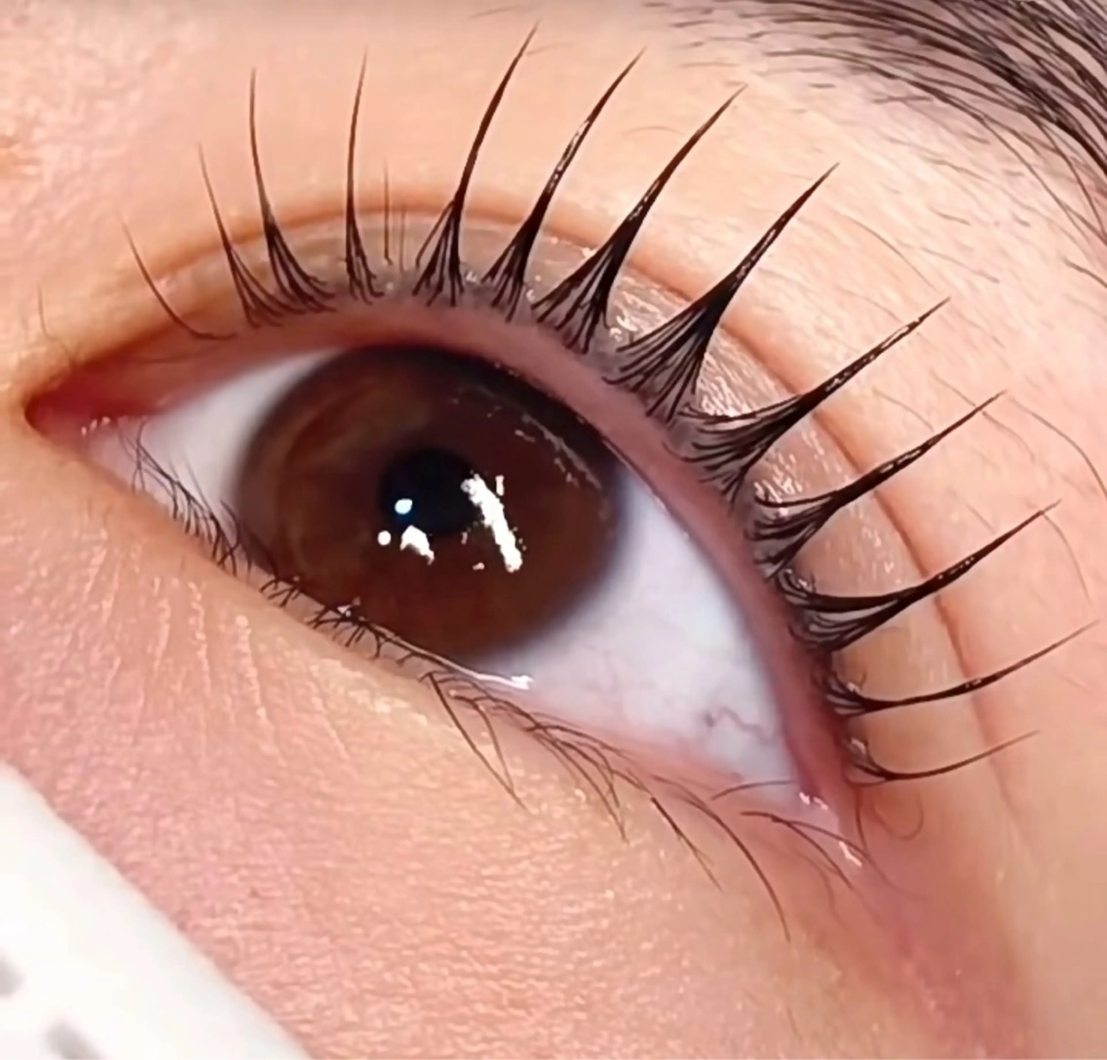 「SNS話題沸騰」💗最新技術&アンドヘルシー💗［LED+マツエク＋パーマ］フラットラッシュ160本の写真