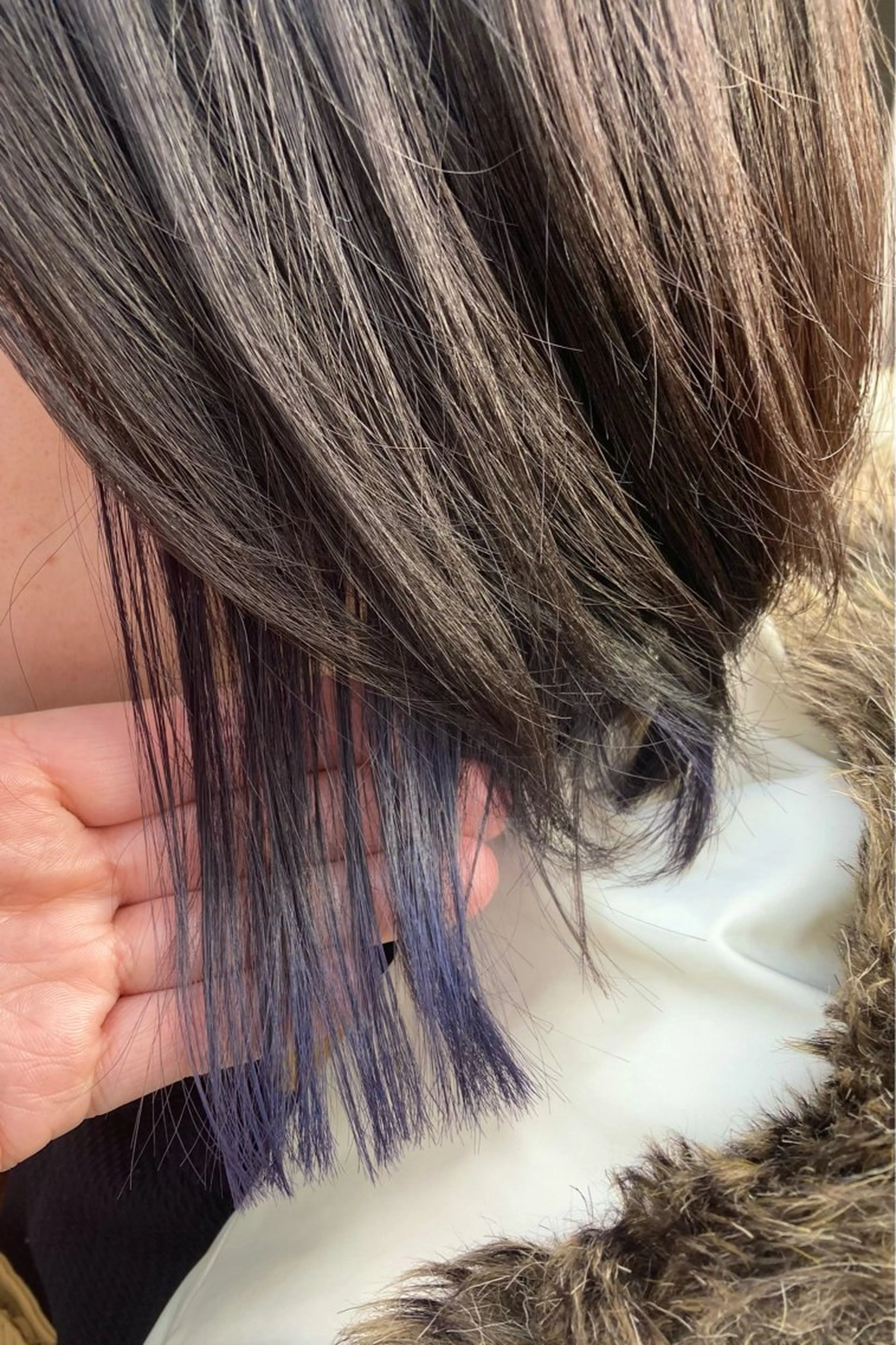 ミディアム 田牧 みゆきのヘアスタイル