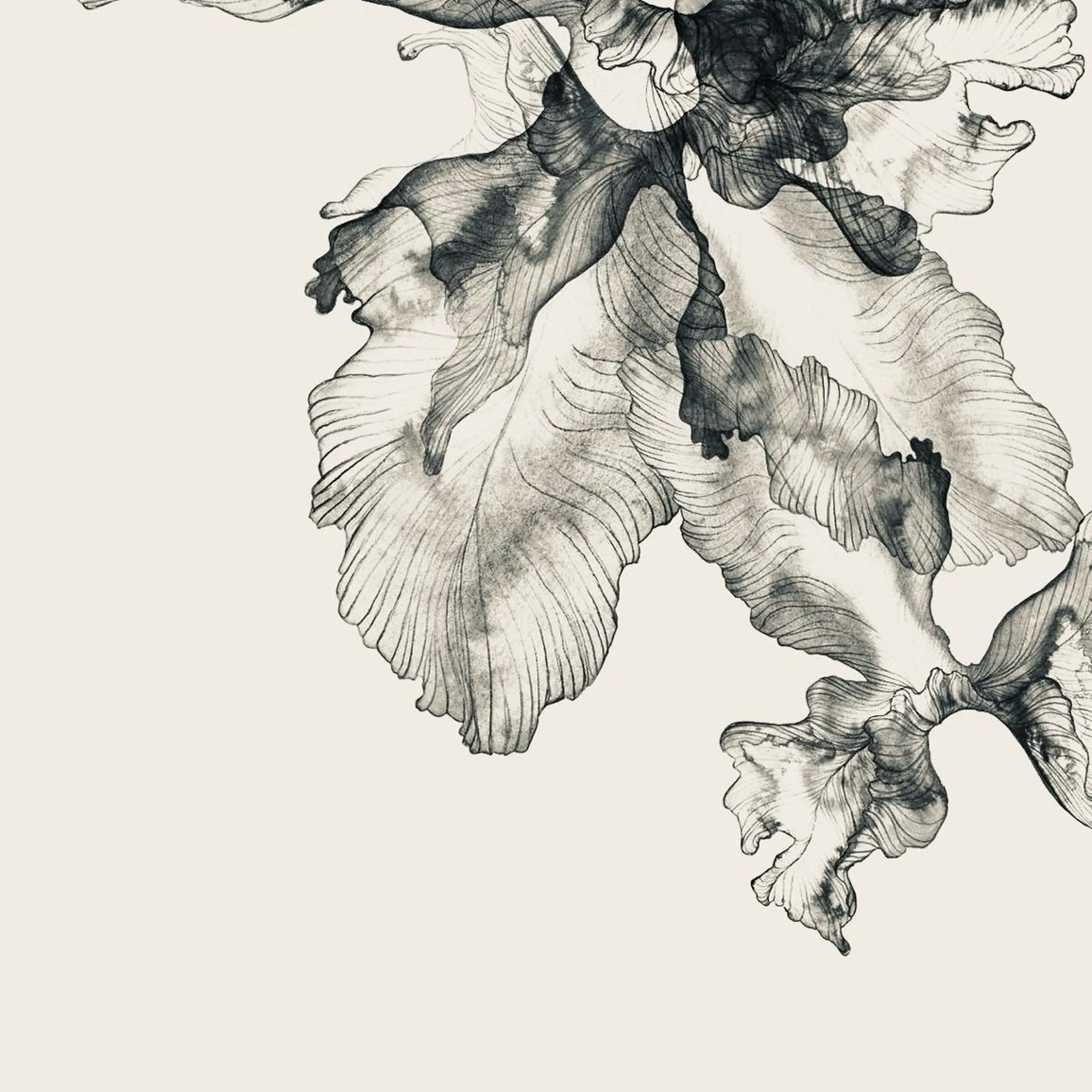 Bianca長津田 Mukae⋆.✶🖤のネイルデザイン