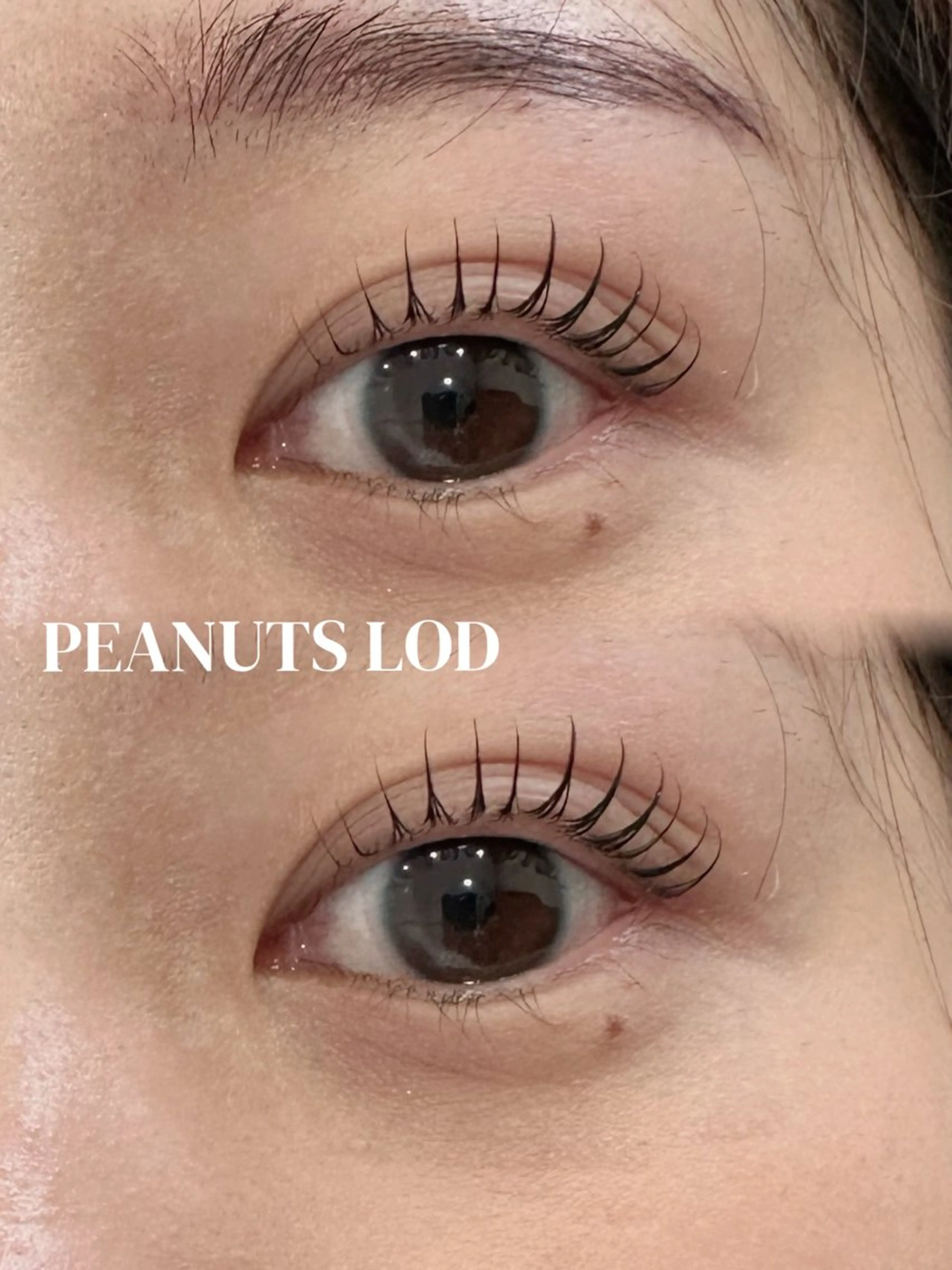 マツエク・マツパ Eye ELSA lash　柘植のマツエク・マツパデザイン