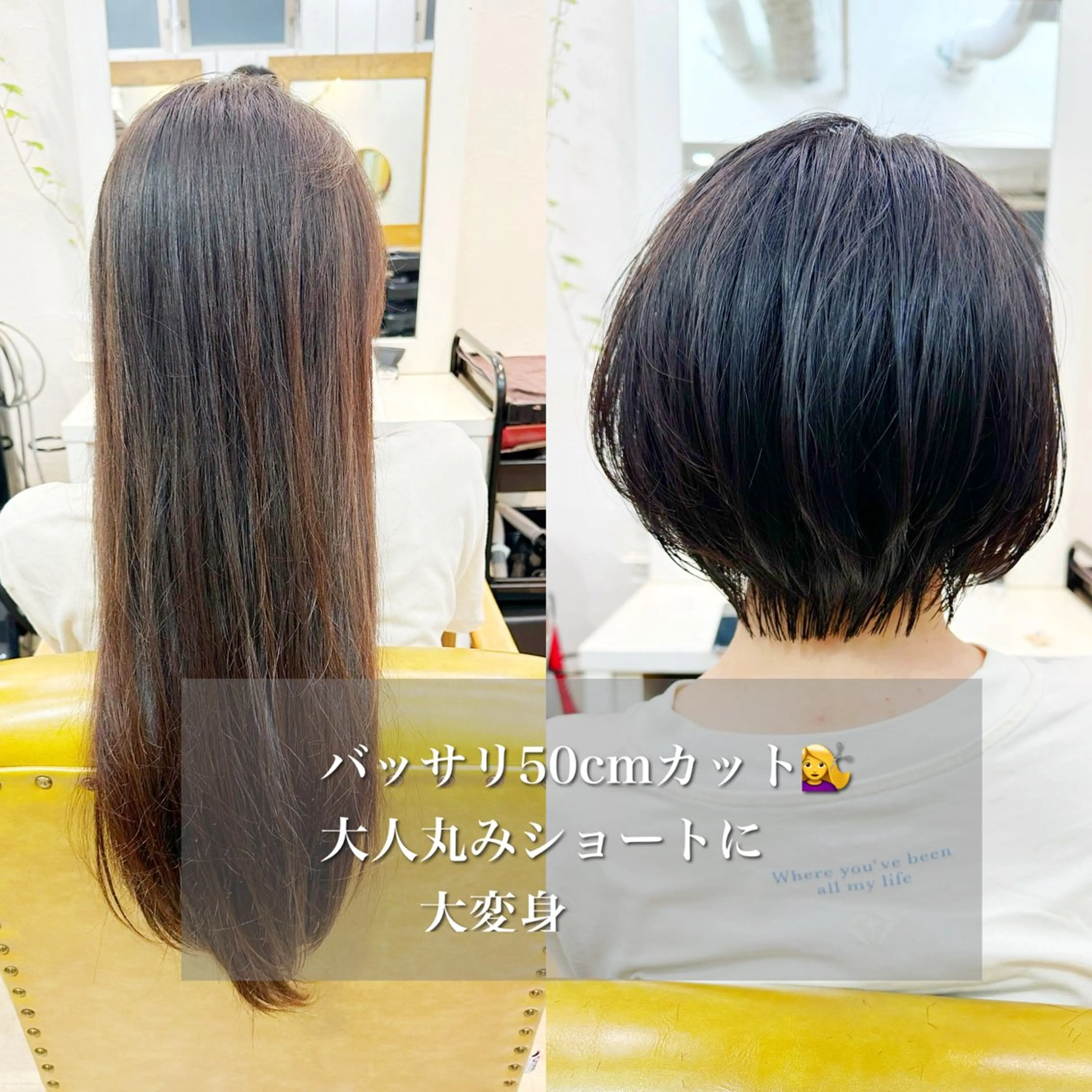 似合わせカット+透明感カラー+ウル艶トリートメントの写真