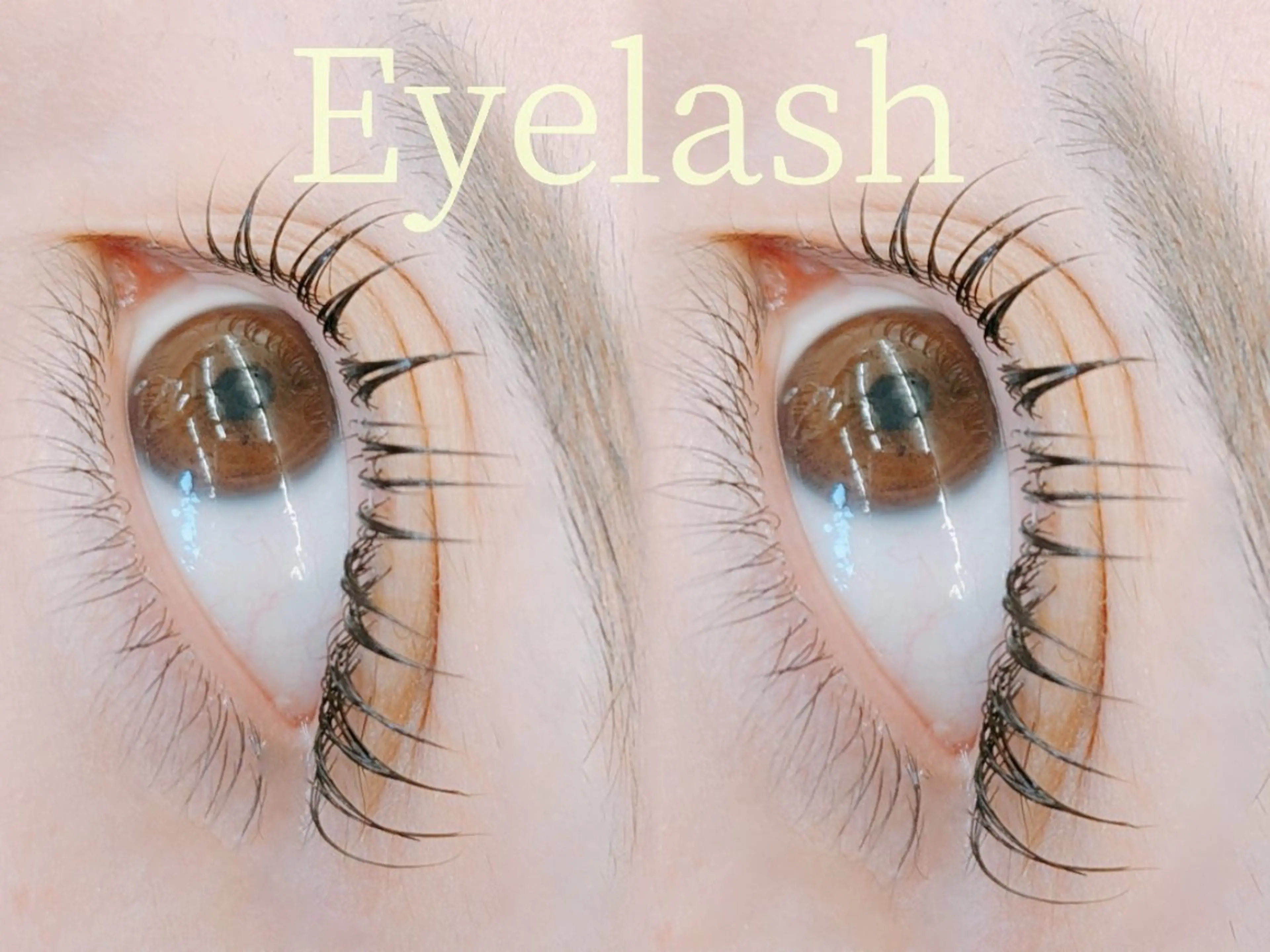 マツエク・マツパ 🌈eye•理美容師 Satomi🌈のマツエク・マツパデザイン