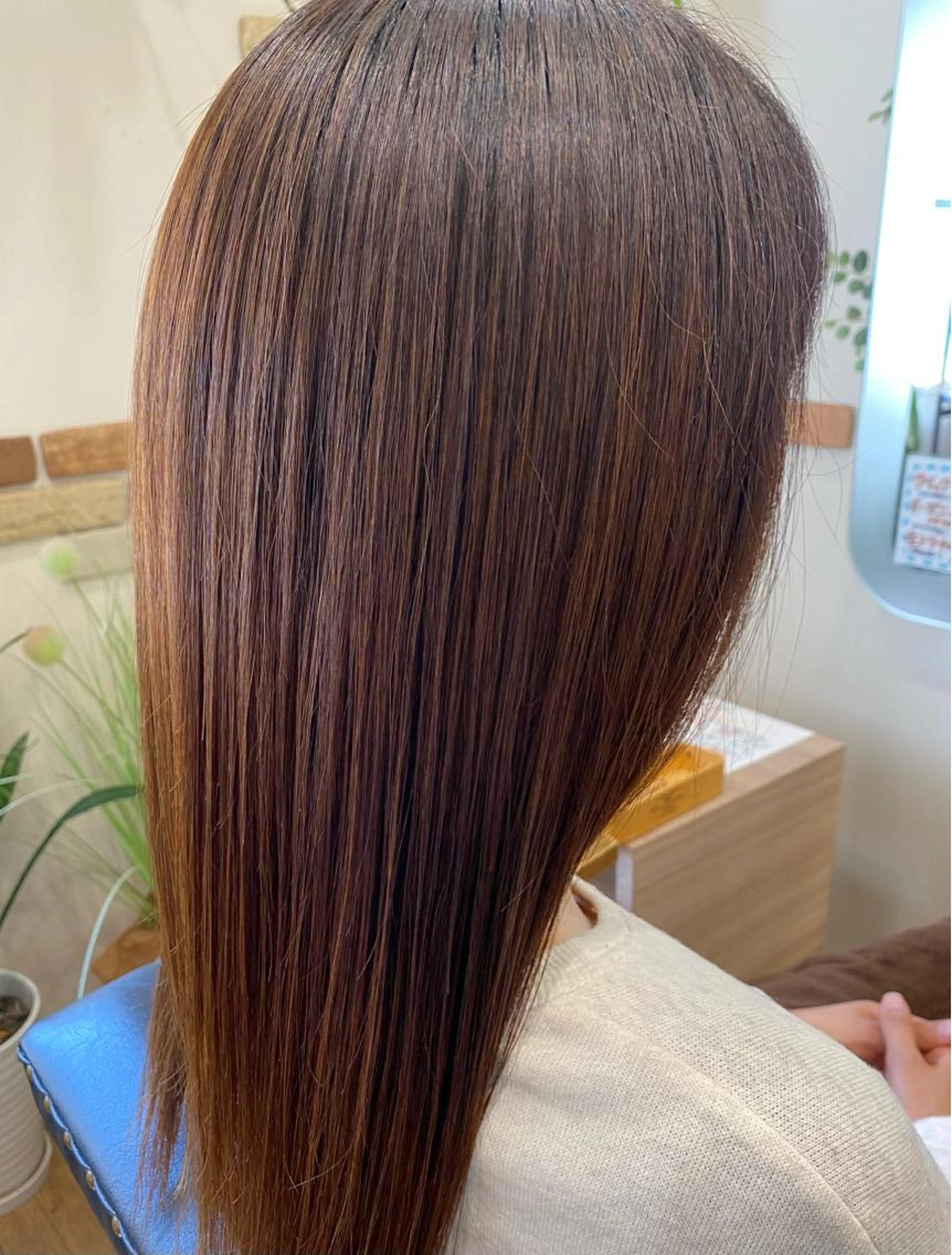 レディースカット+生トリートメントの写真