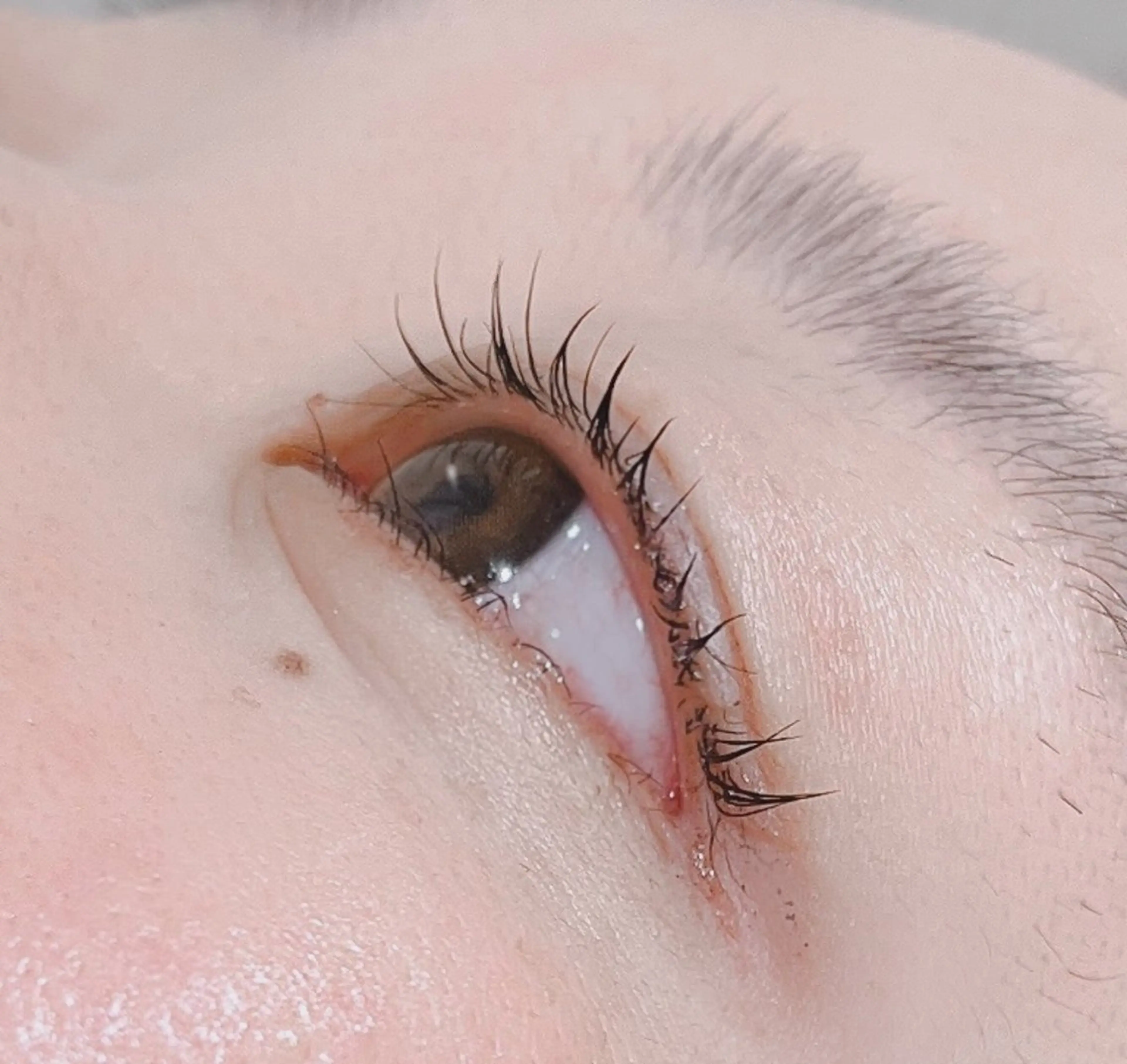 マツエク・マツパ まつげパーマ マツパ ꧁꒰ঌ奈菜美໒꒱꧂ 箕面美容室のヘアスタイル