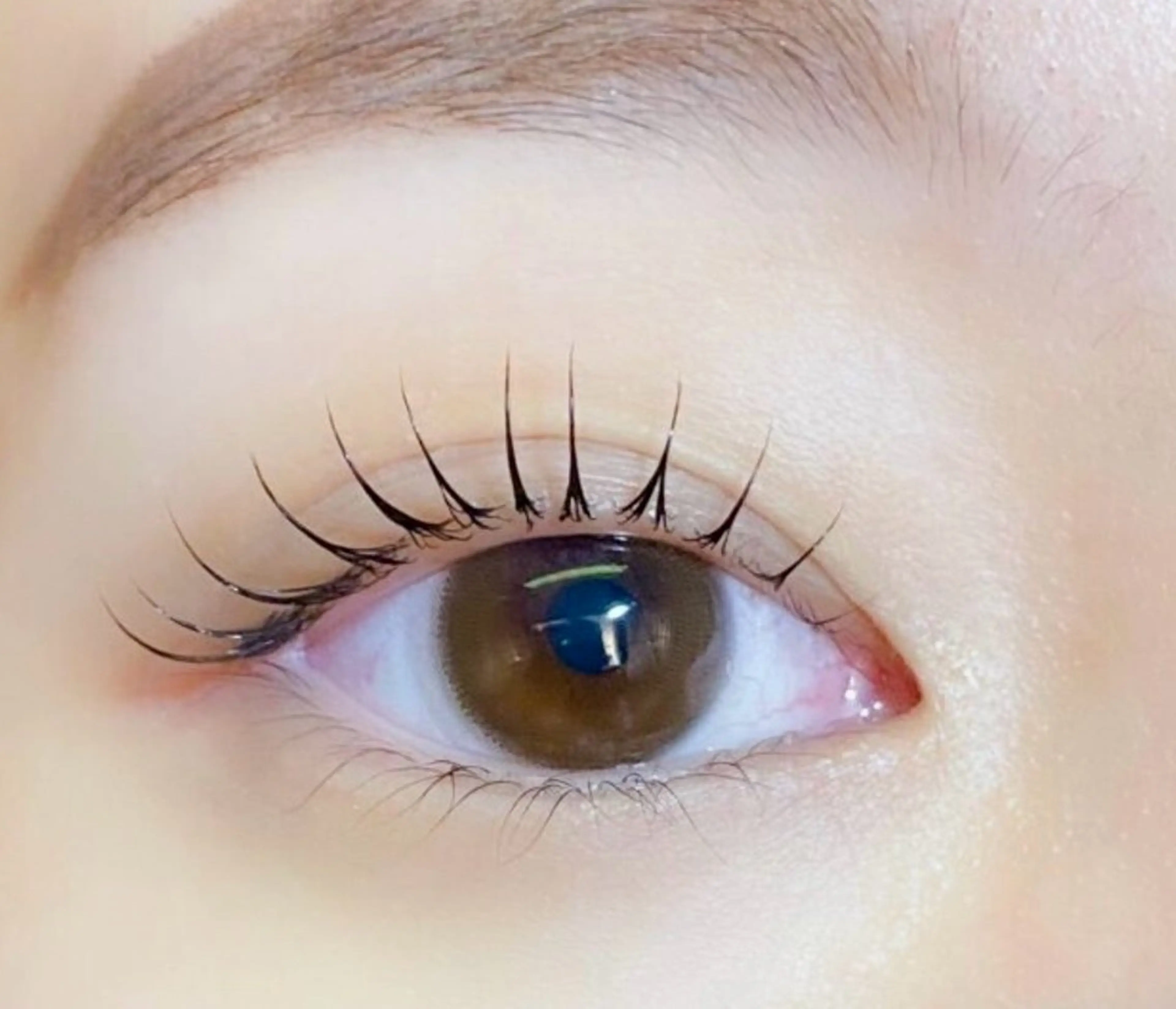 ブラックティントパーマ【¥4500】　　パリジェンヌラッシュリフト（+¥500）変更可能の写真