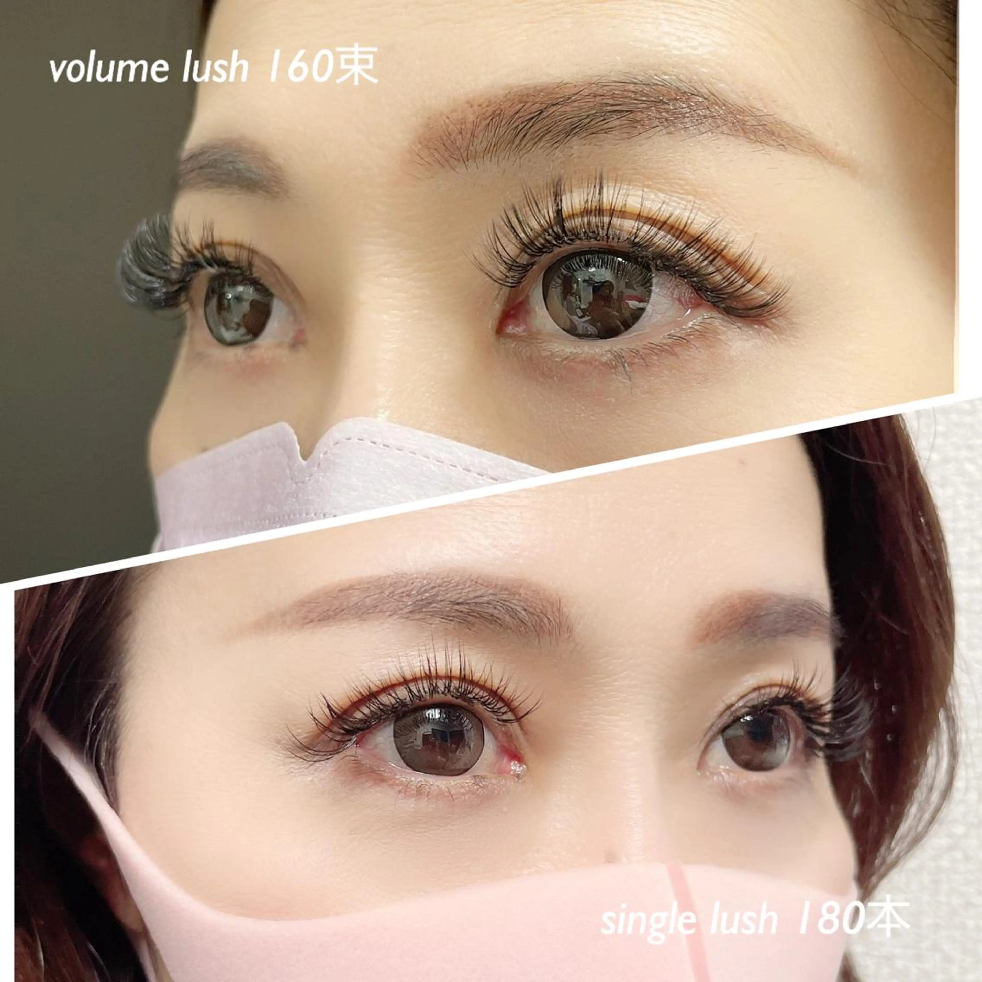 フラットラッシュ（Dカール）（100本まで）の写真