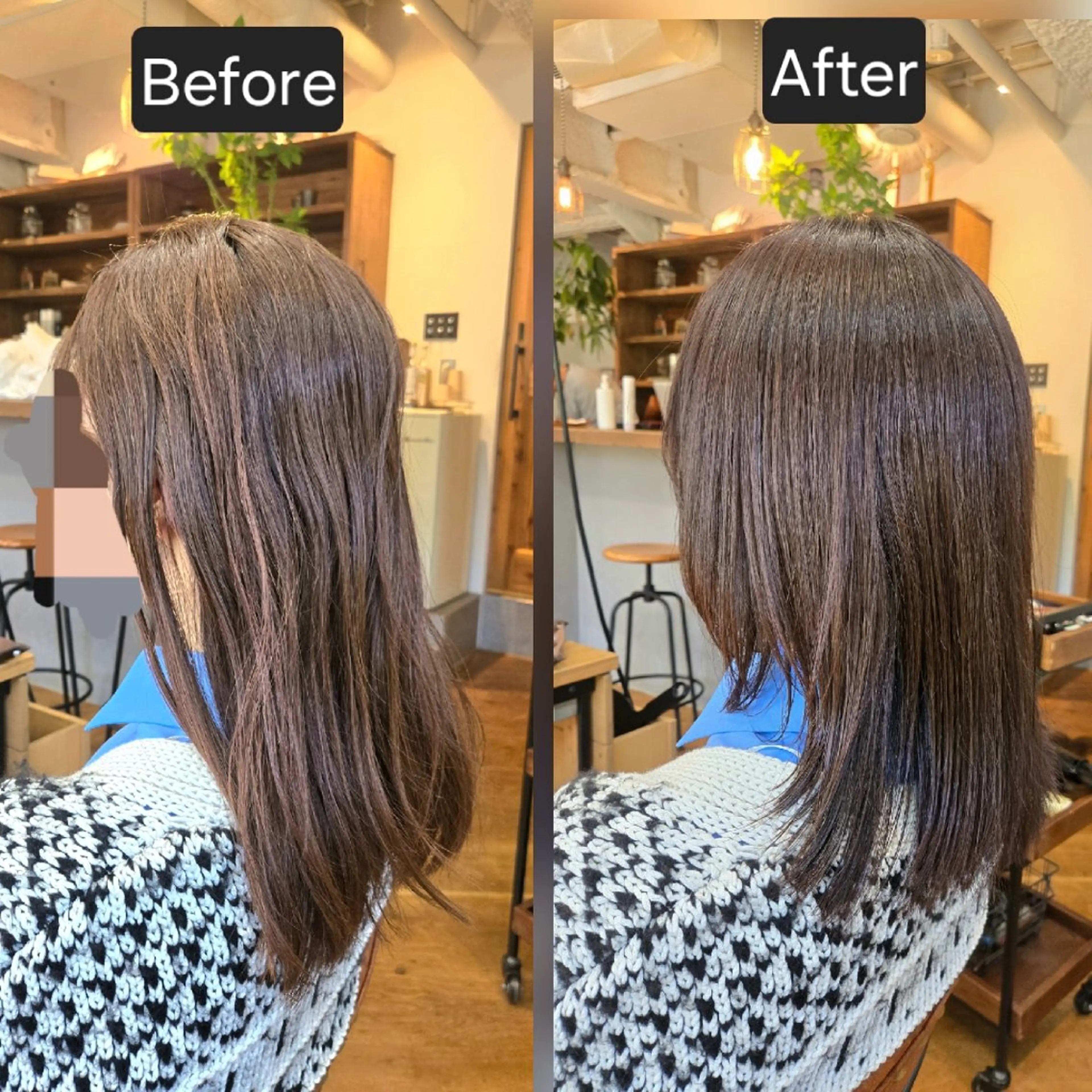 ミディアム トリートメント カット ヘアカラー 銀座knoll🌿 【平日朝限定cut】のヘアスタイル